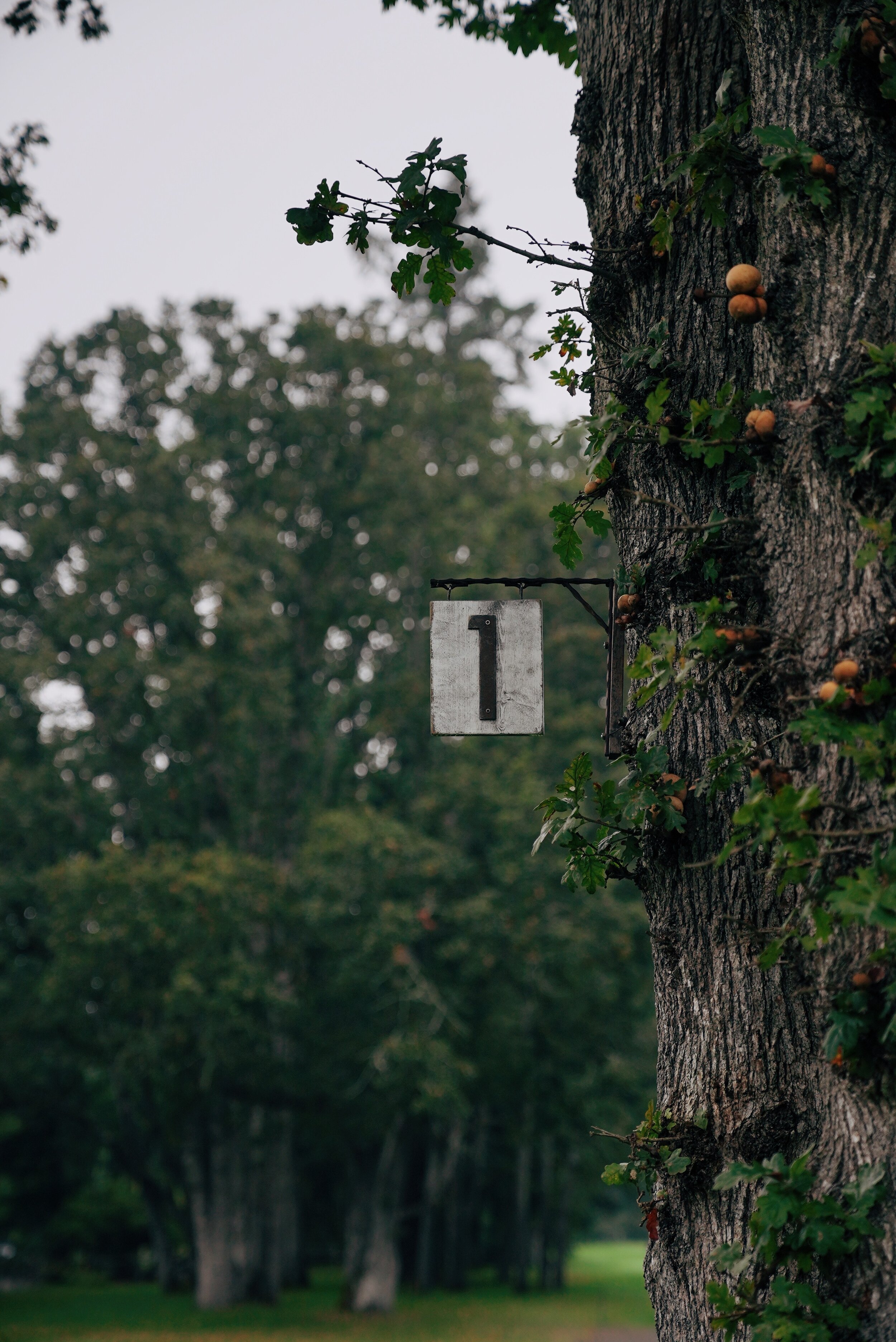 The First Tee - Tacoma Country Club