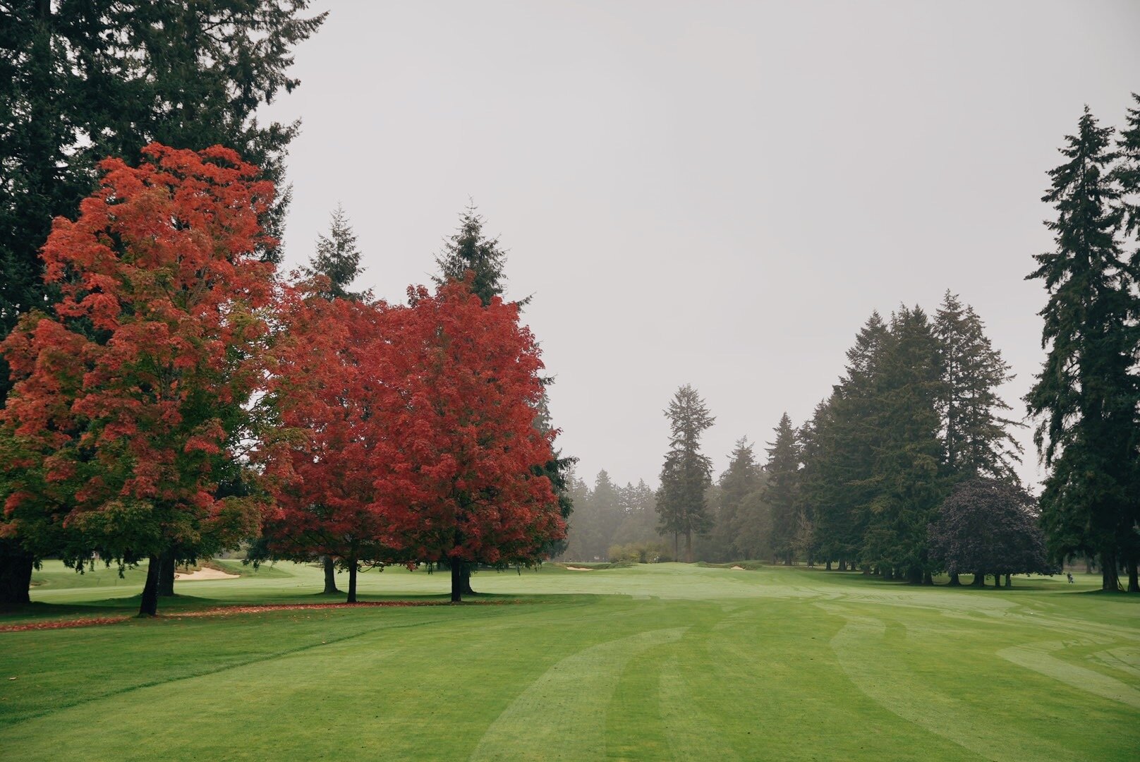 Fall at Tacoma Country Club