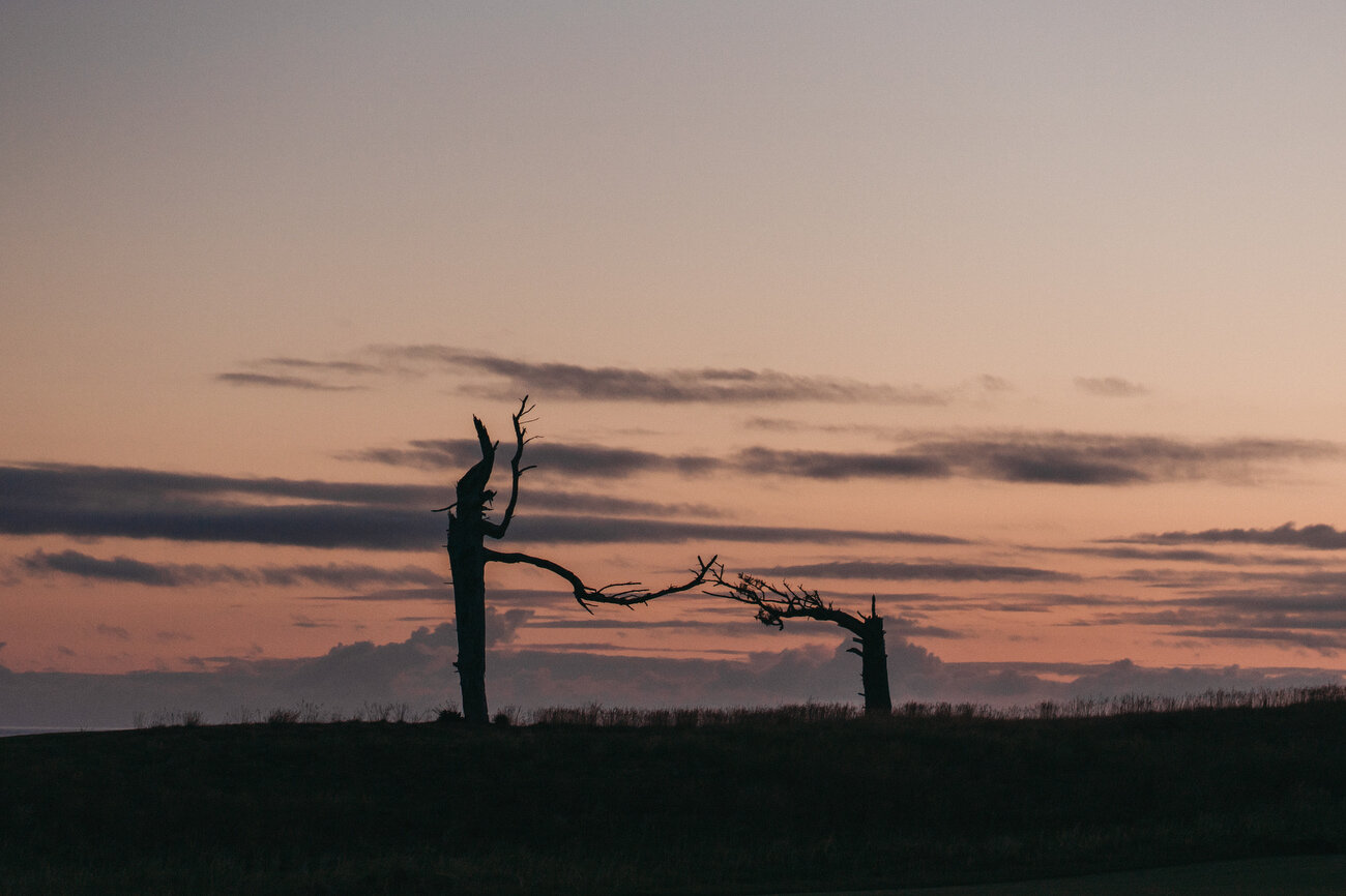 NEW - Sunset Dance at Sheep Ranch