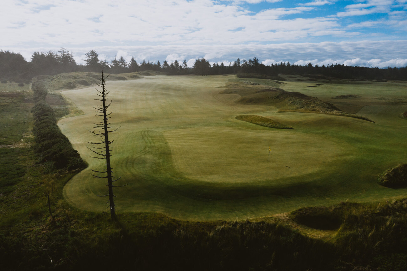 1st at Sheep at Sunrise - Opening Day