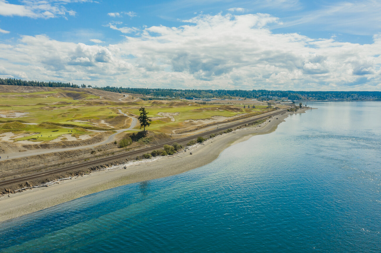 Lone Fir at Chambers Bay
