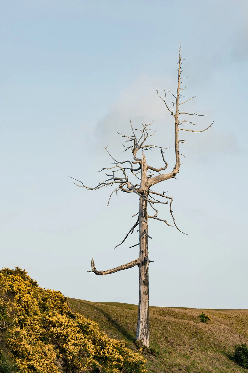 Print Shop - Marsh 45.JPG