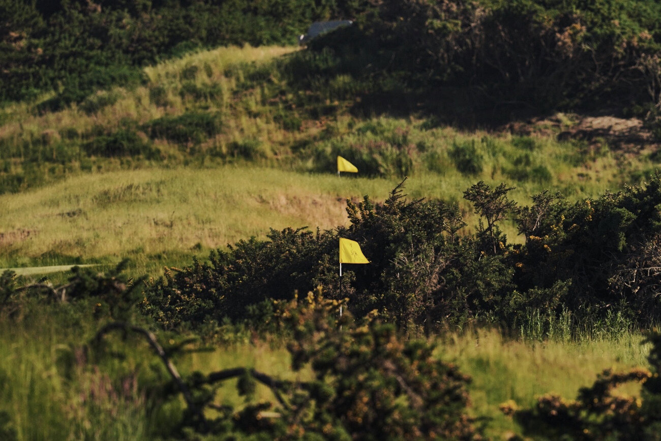 13th and 18th at SHEEP RANCH