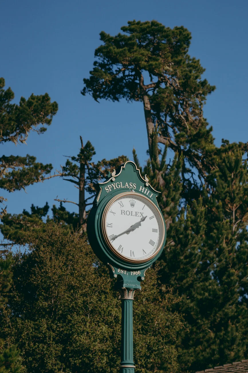 PEBBLE -96.JPG