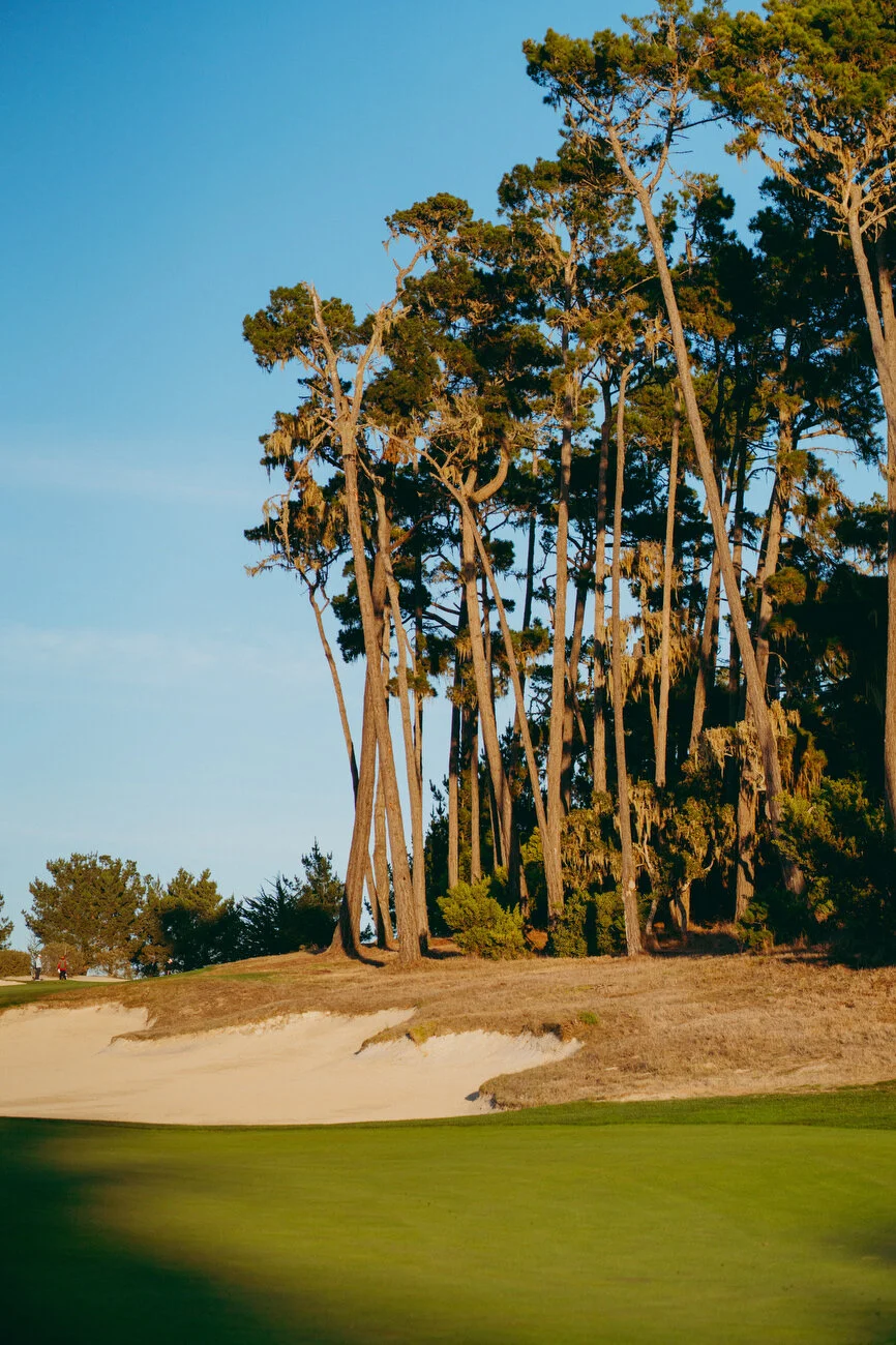 PEBBLE -258.JPG