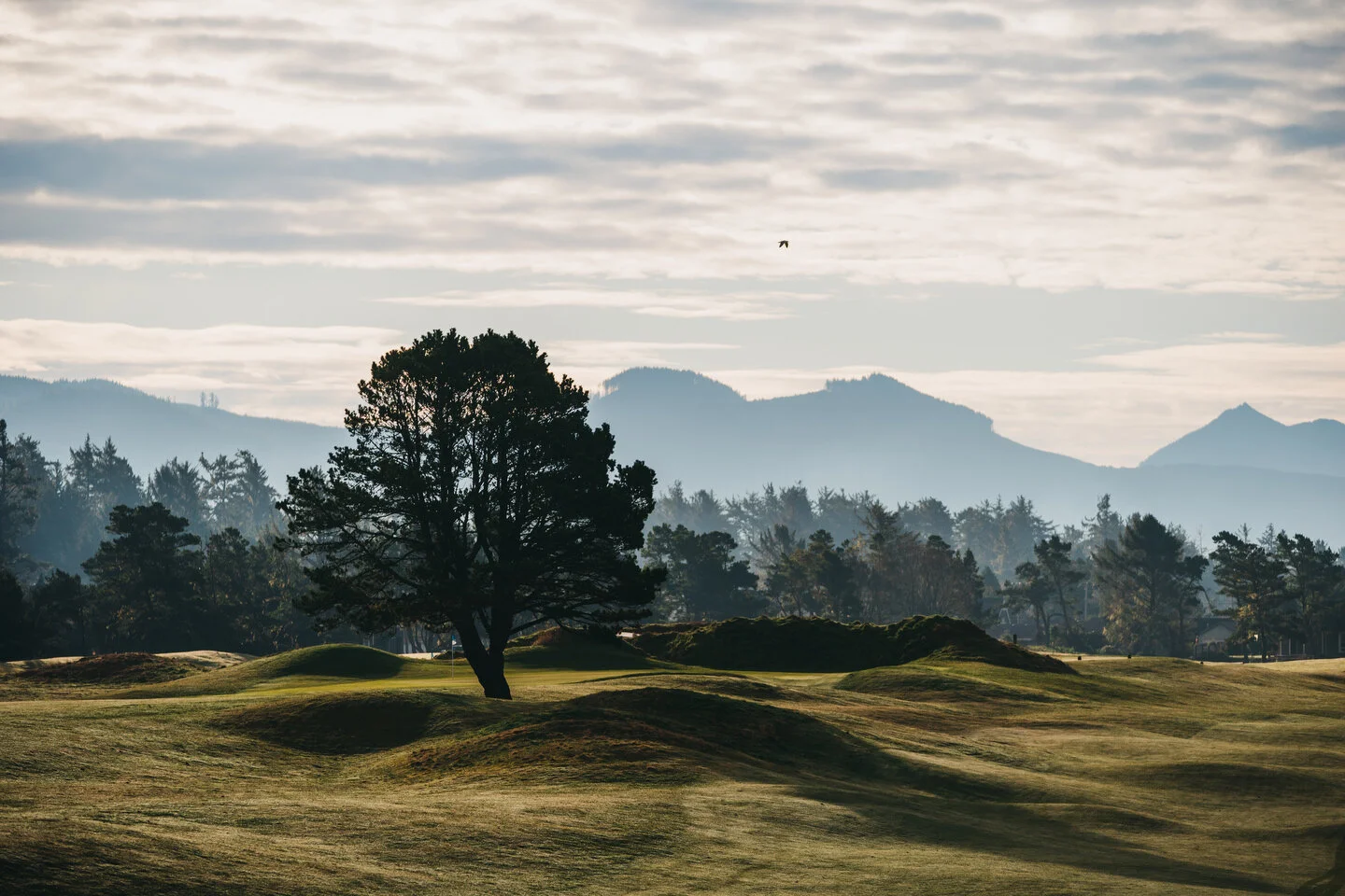 GEARHART - 58.JPG