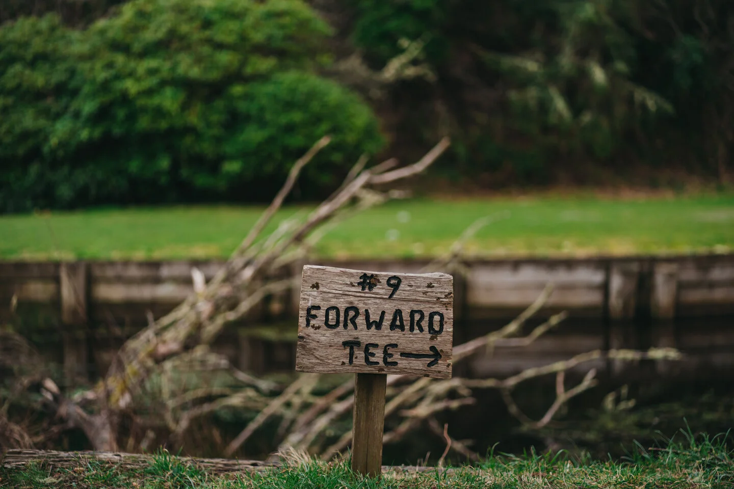 GEARHART - 291.JPG