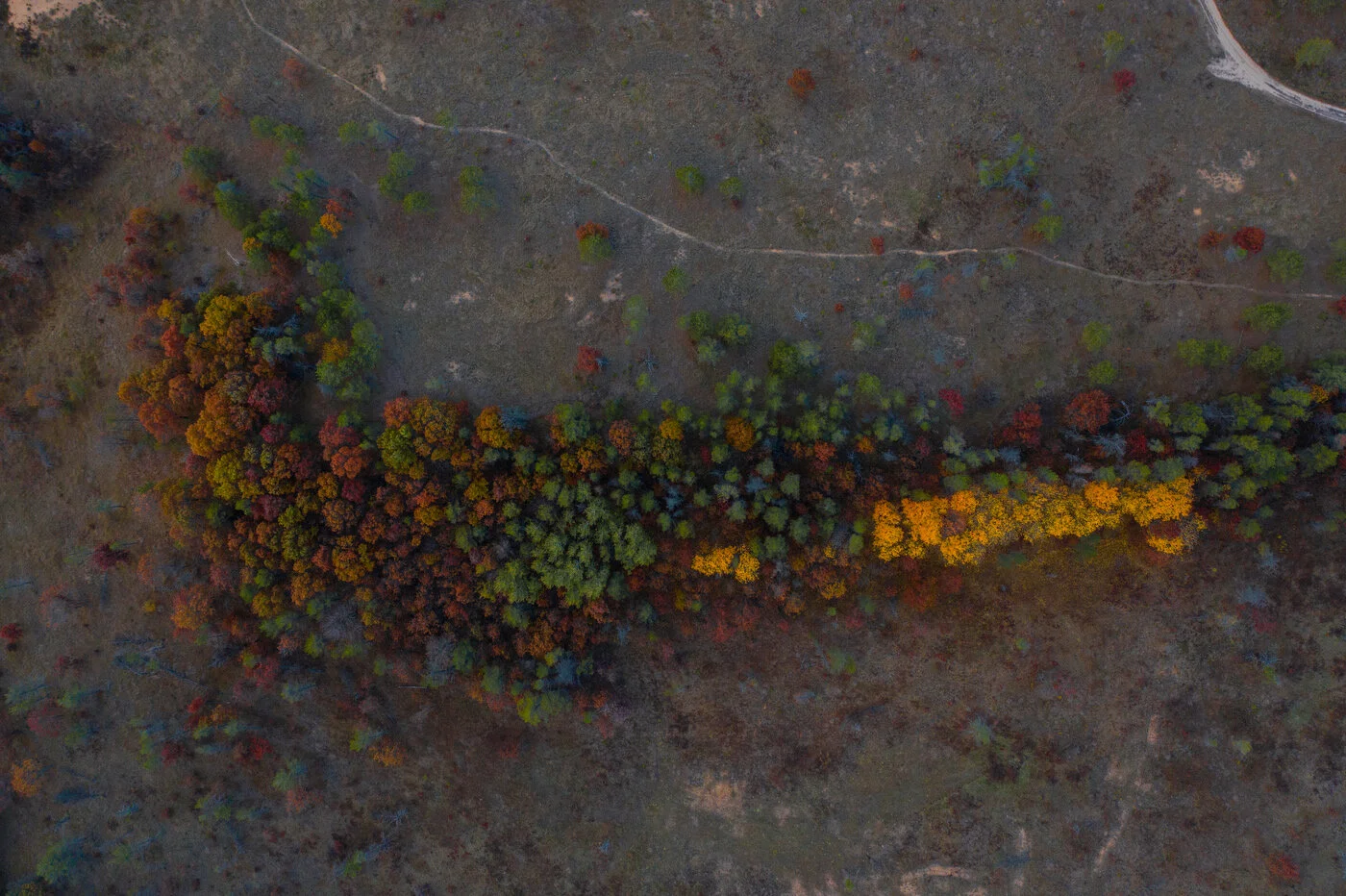 SAND VALLEY AERIALS - Marsh -23.JPG