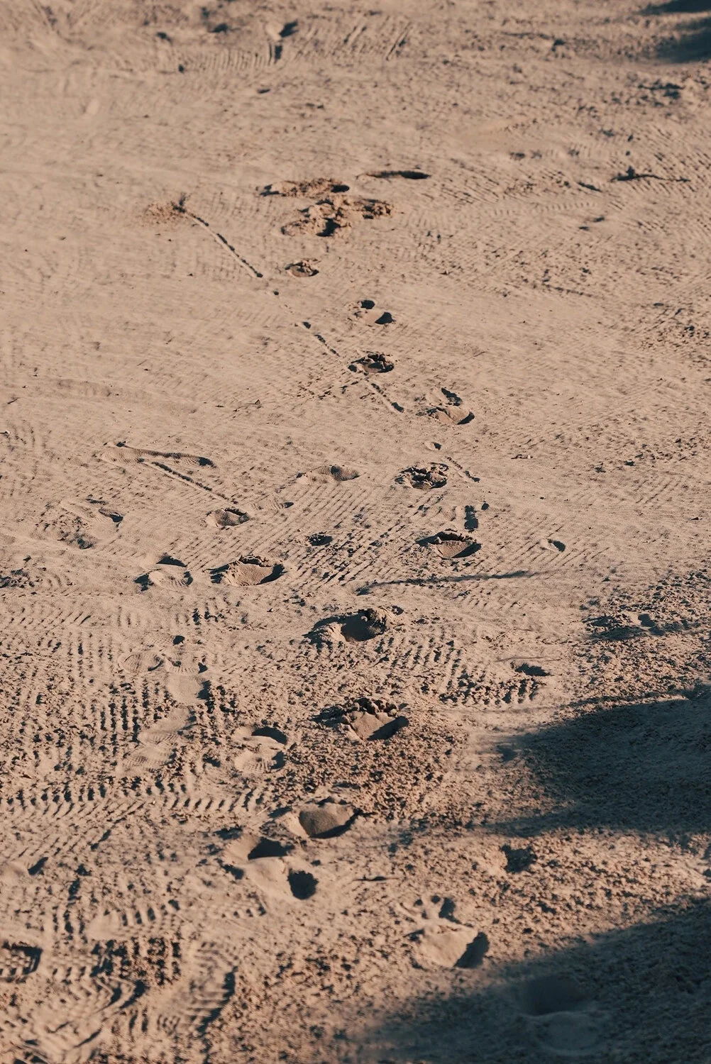 SV SB vsco 290.JPG