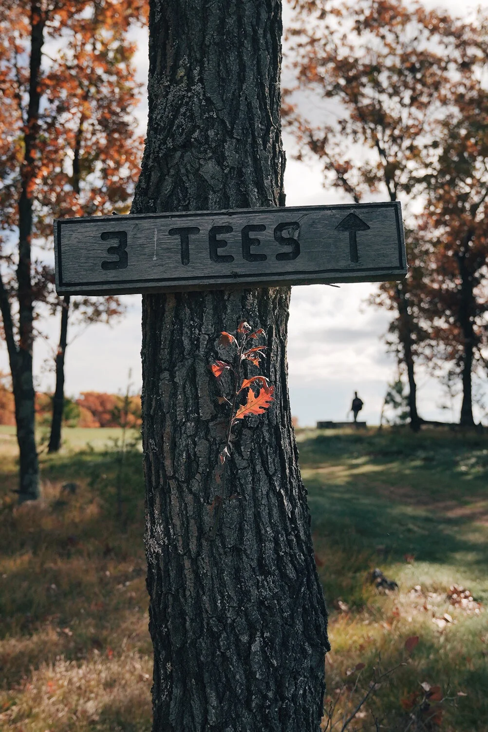 Mammoth 02 vsco 23.JPG