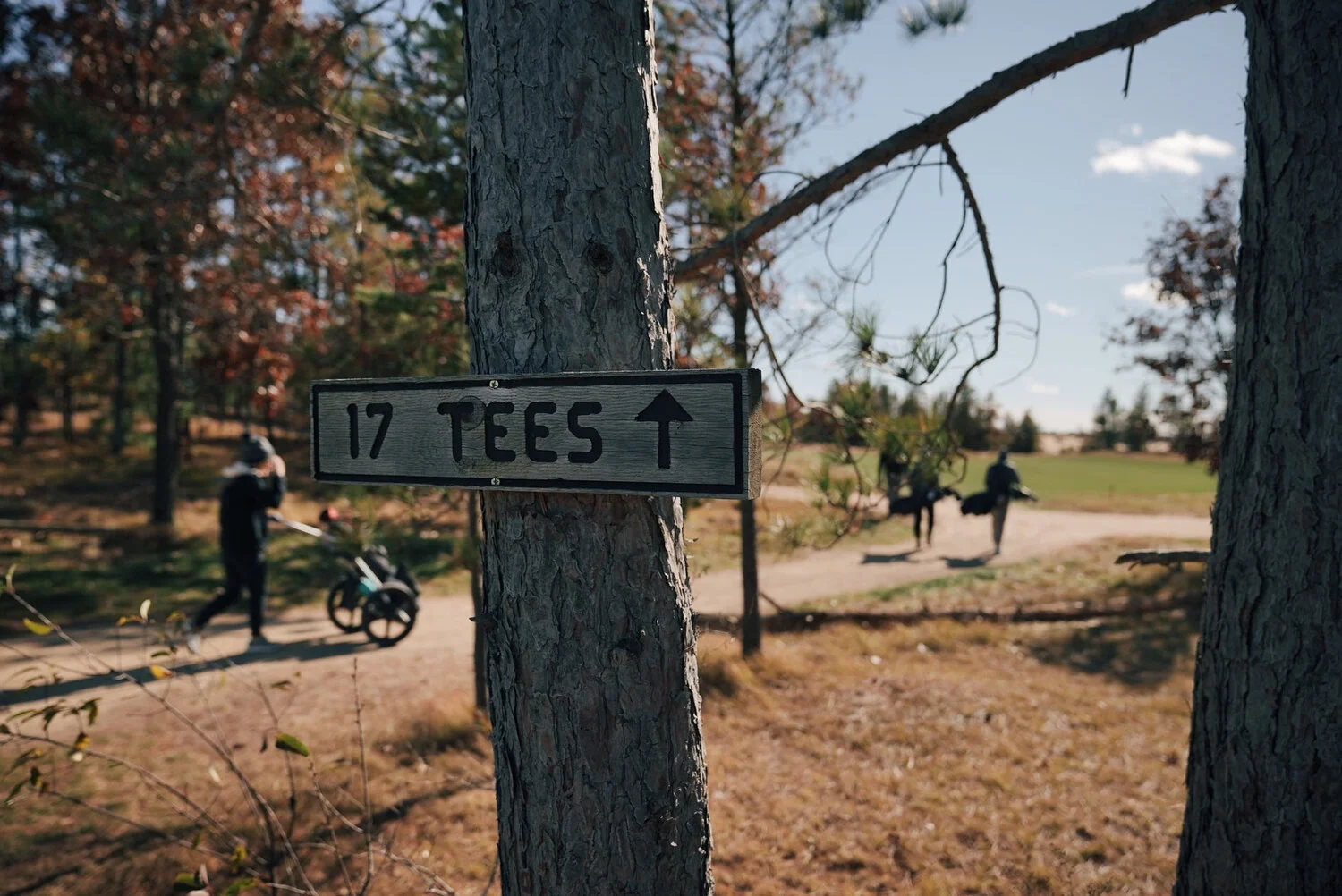 Mammoth 02 vsco 102.JPG