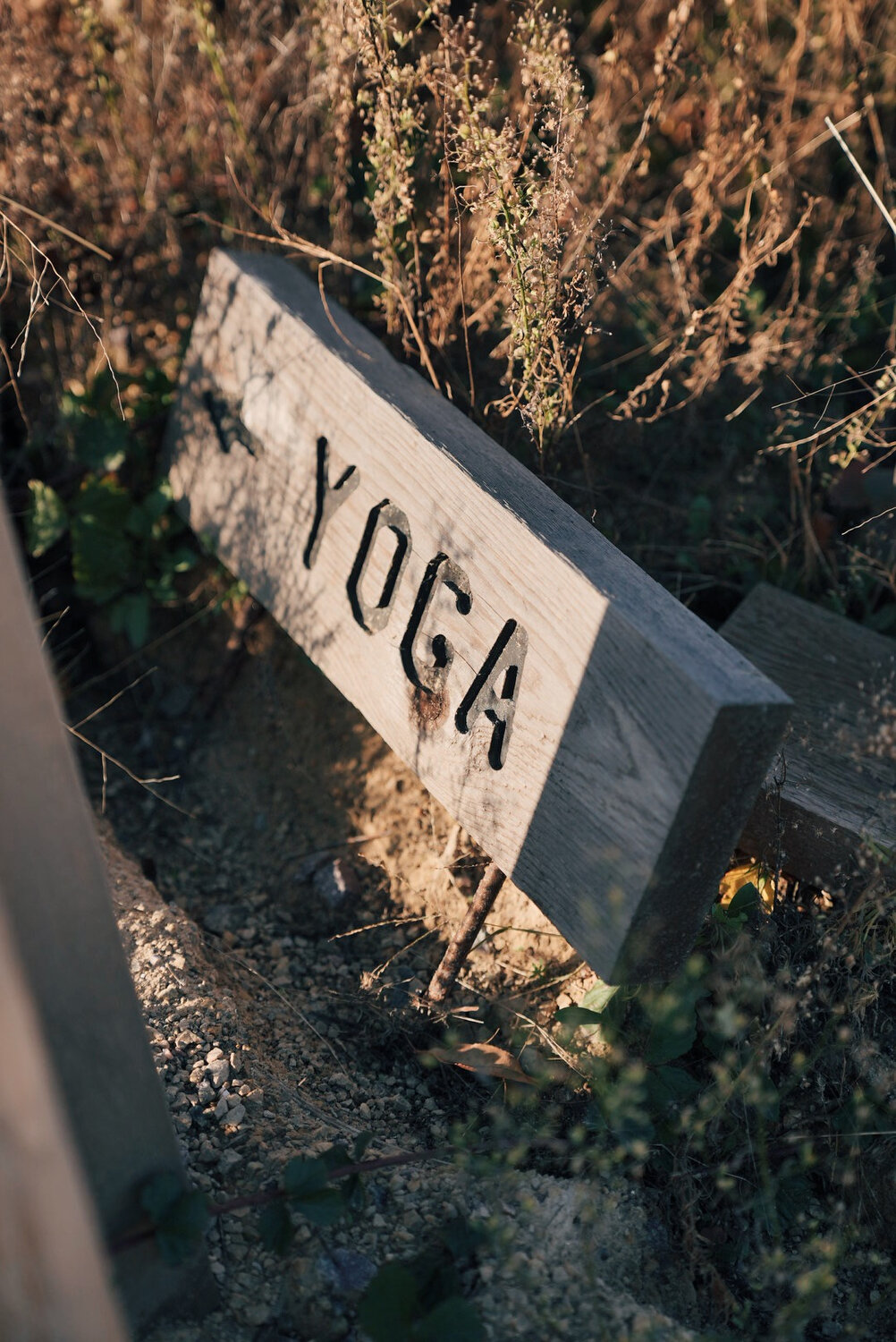 Mammoth 02 vsco 170.JPG