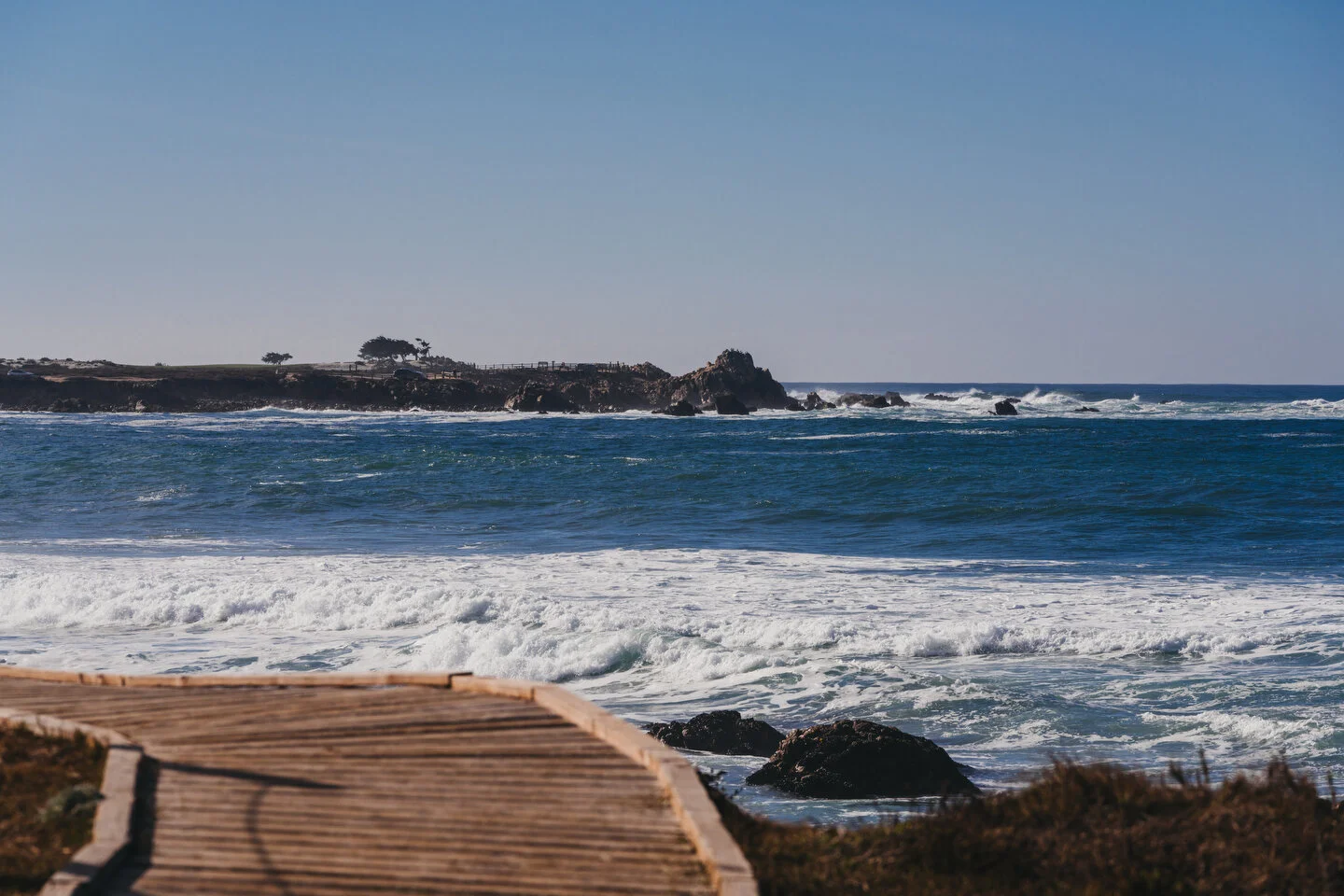 Pebble - 28.JPG