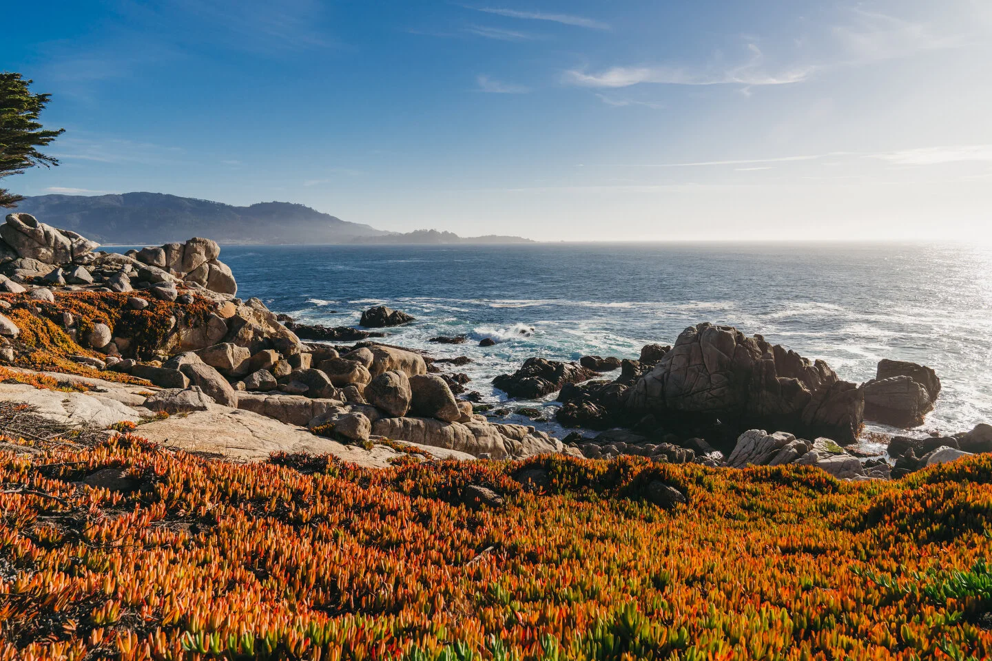 Pebble - 91.JPG