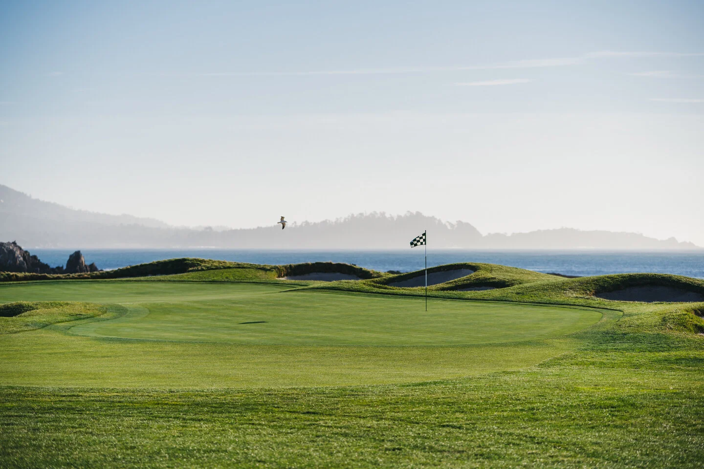 Pebble - 94.JPG