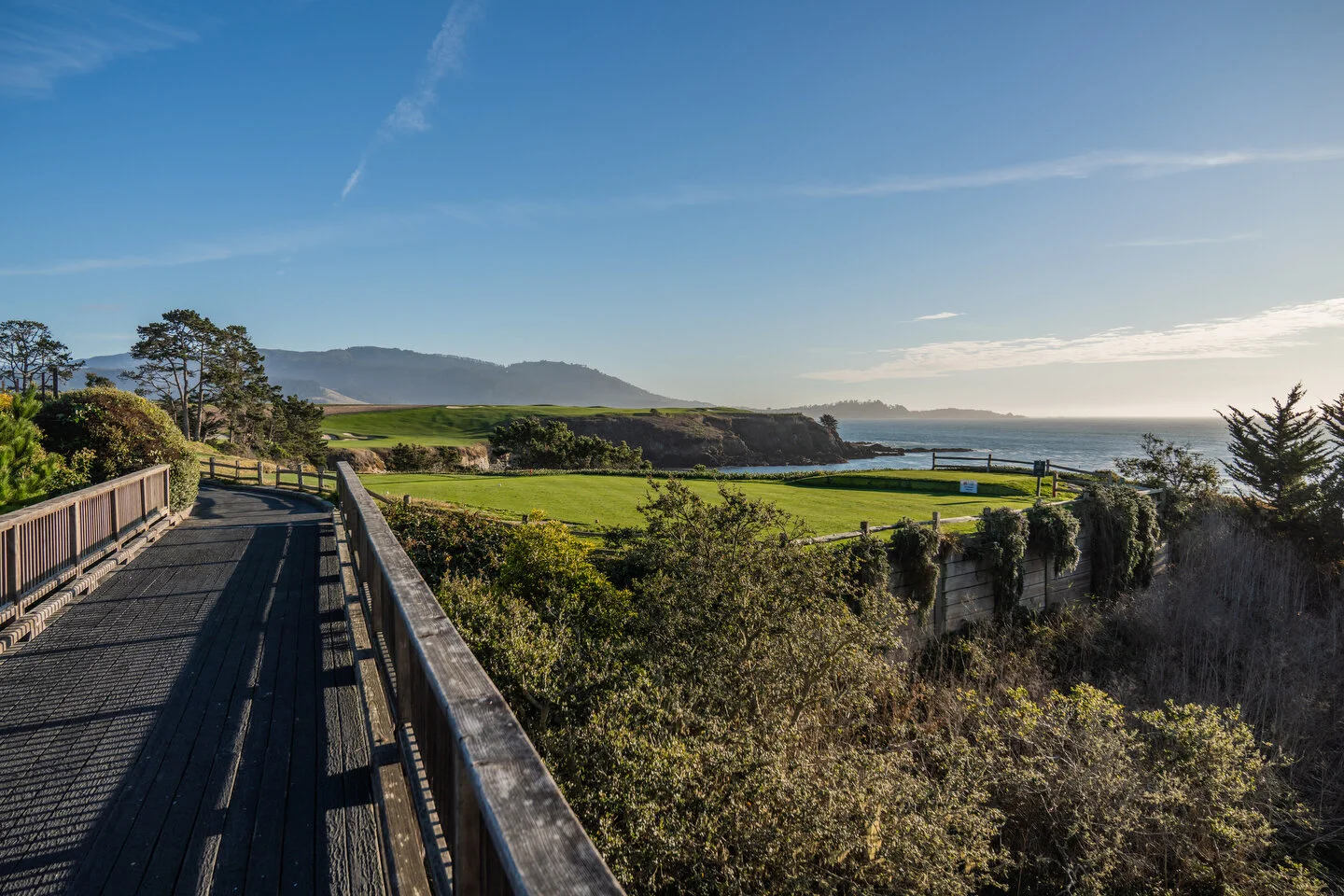 Pebble - 118.JPG