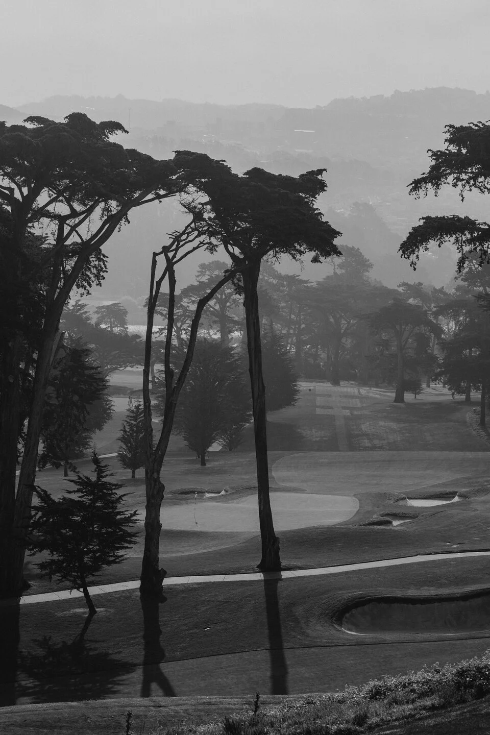 Olympic quick edit -2.JPG