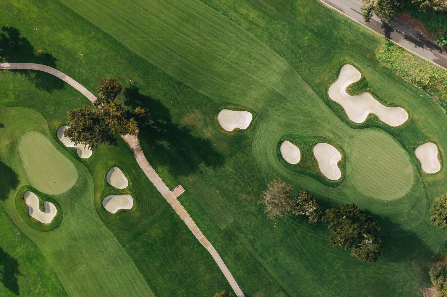 Olympic quick edit -14.JPG