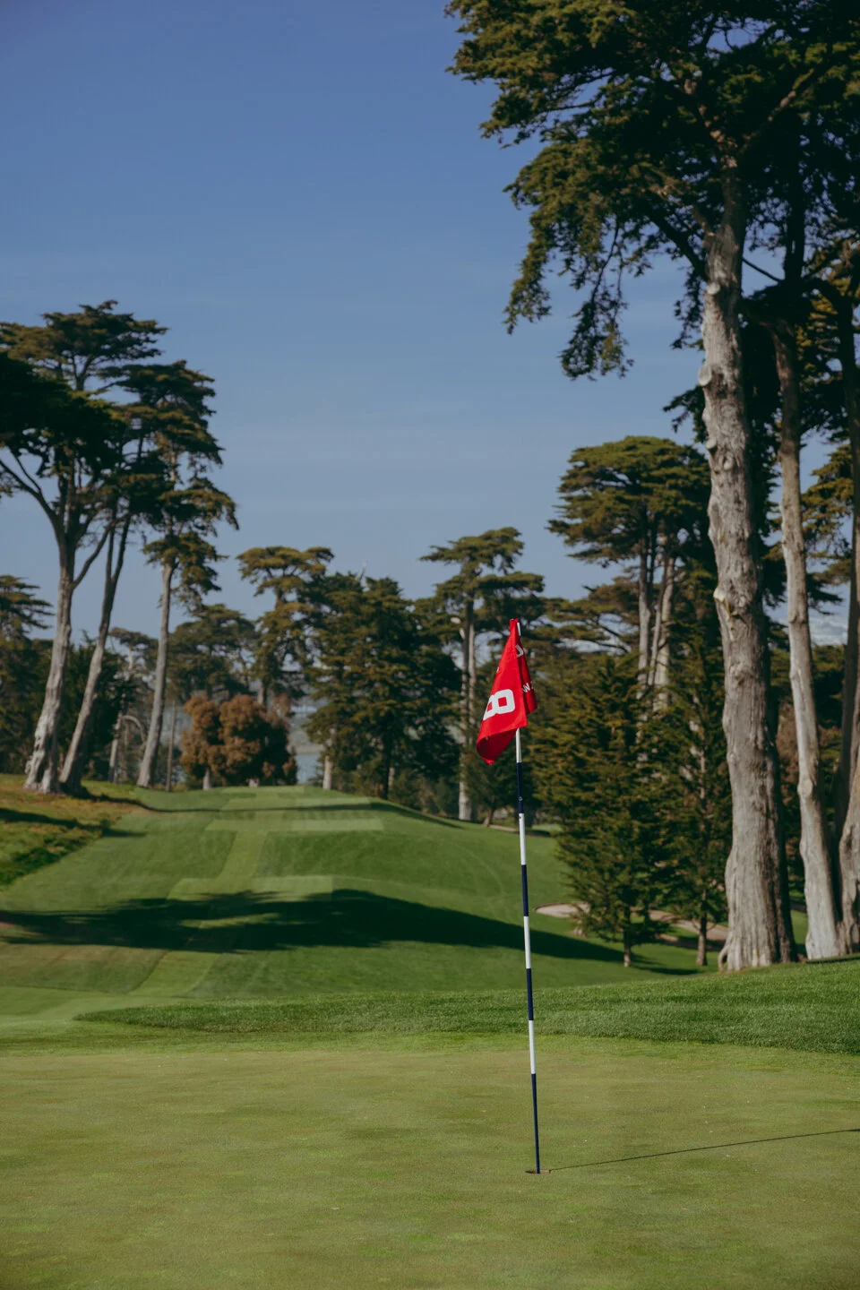 Olympic Quick Edit -48.JPG