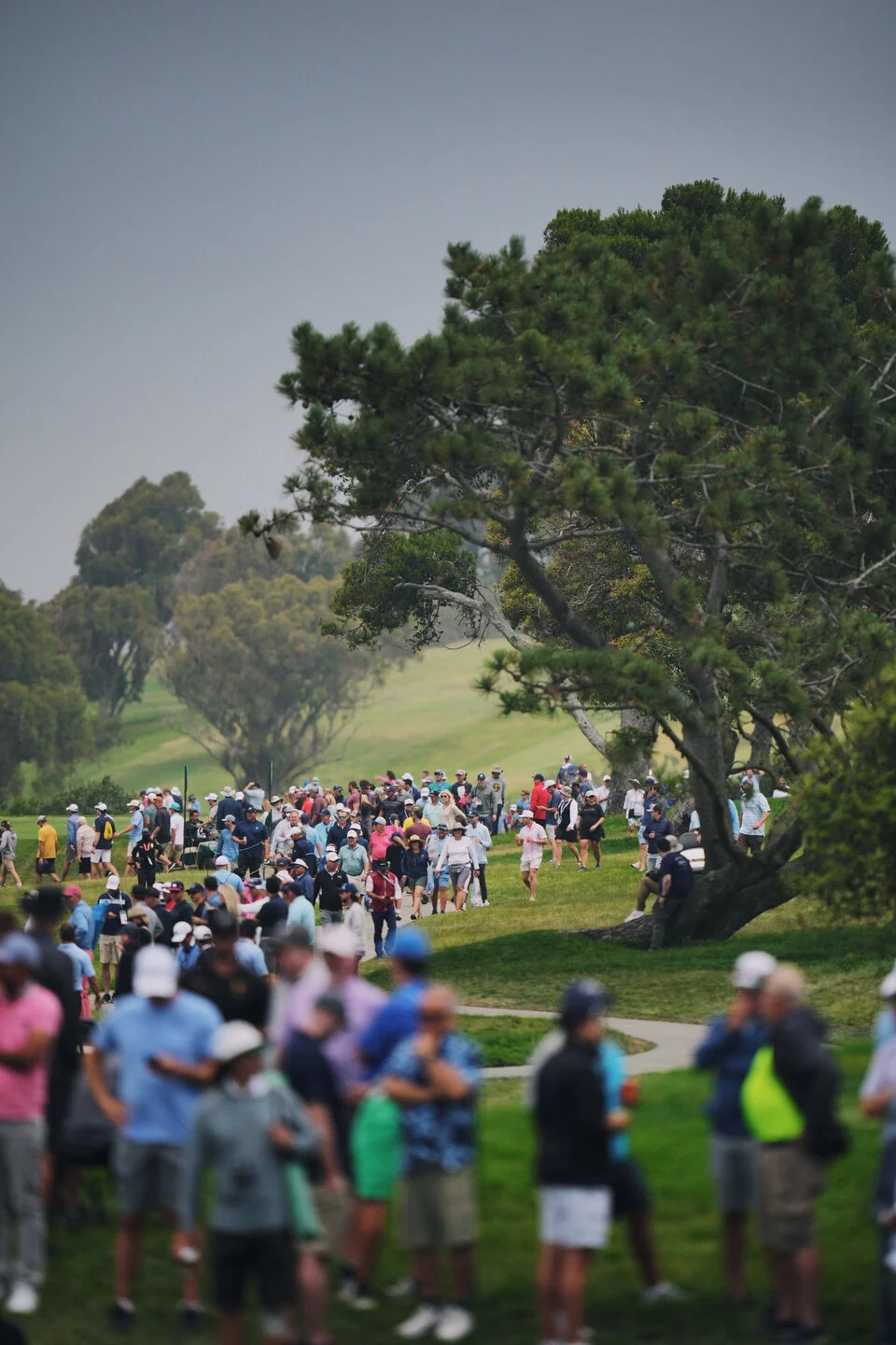 US OPEN vsco - 536.JPG