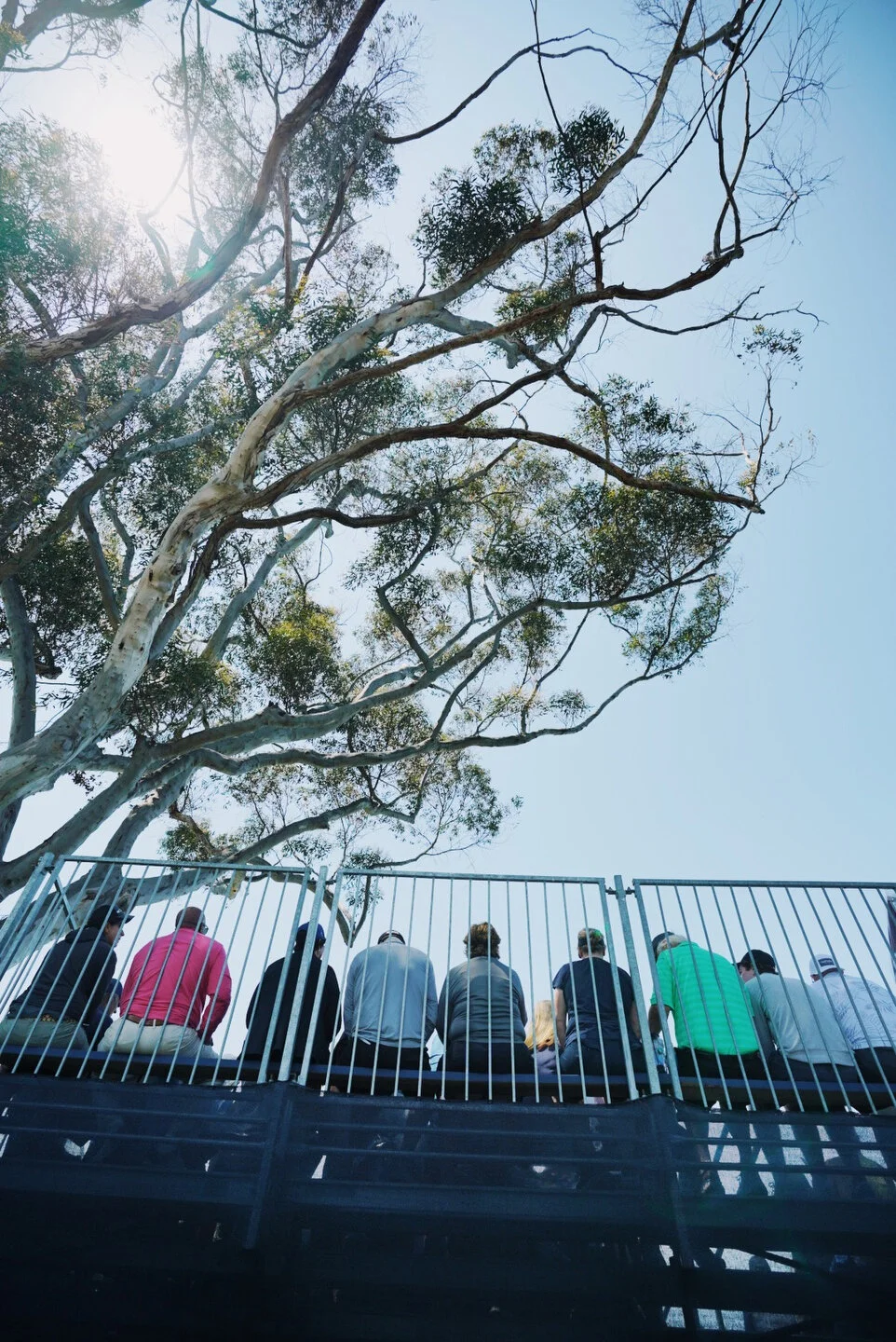 US OPEN vsco - 329.JPG