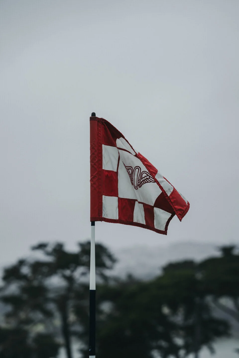 WOMENS OPEN - WEB - MARSH - 22.JPG