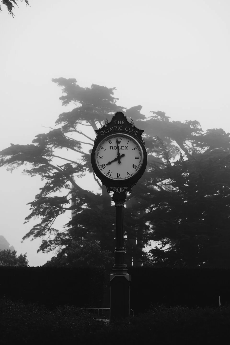 WOMENS OPEN - WEB - MARSH - 132.JPG