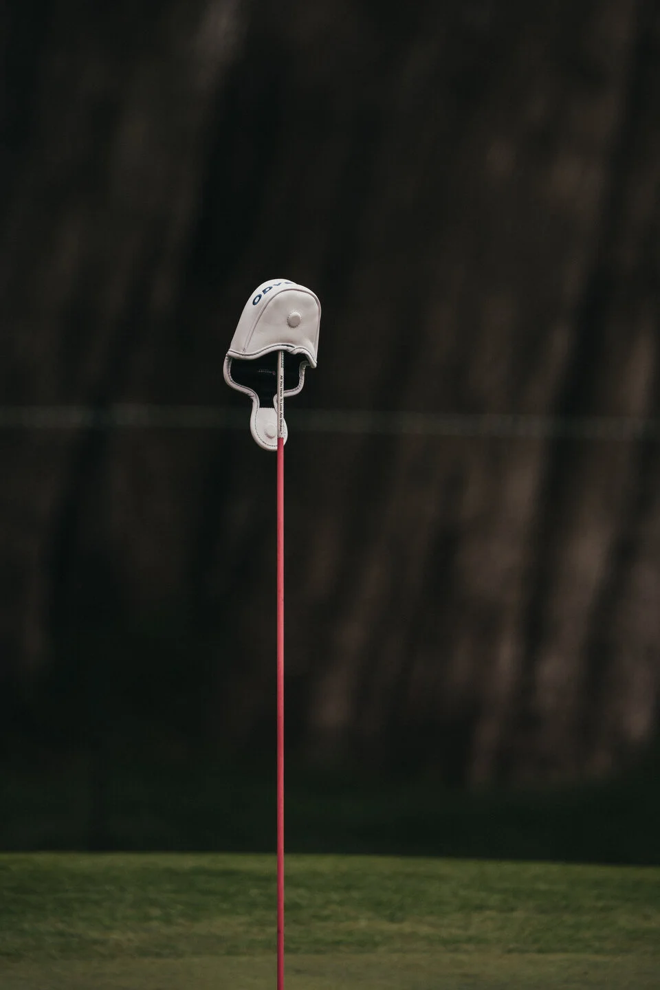 WOMENS OPEN - WEB - MARSH - 167.JPG