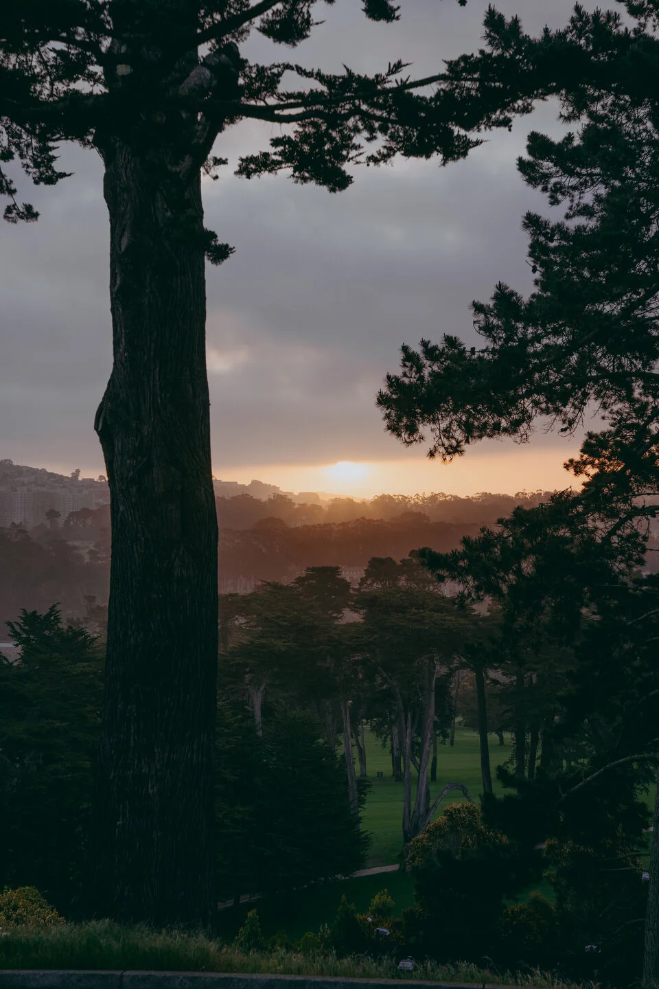 Olympic quick edit -1.JPG