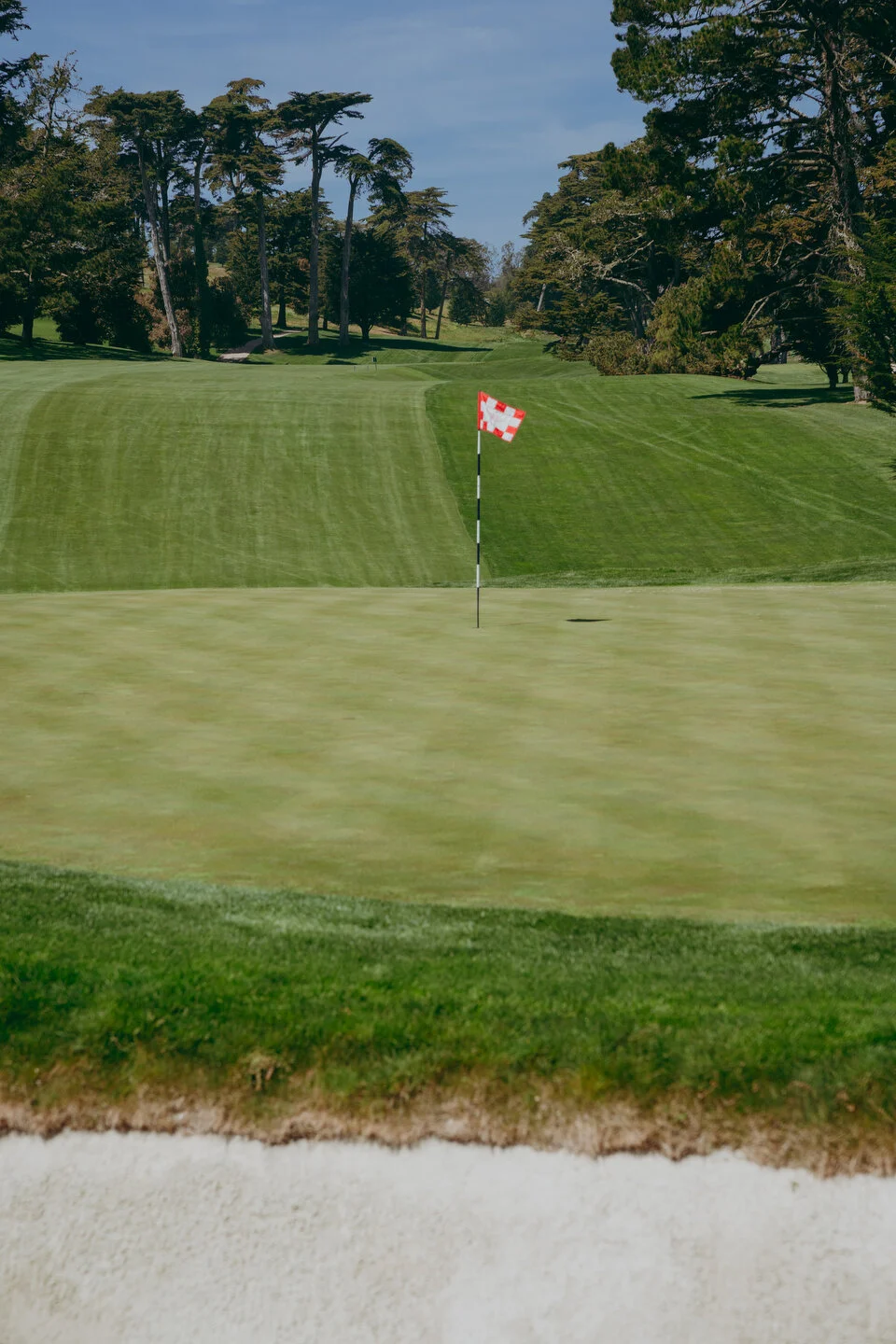 Olympic quick edit -6.JPG