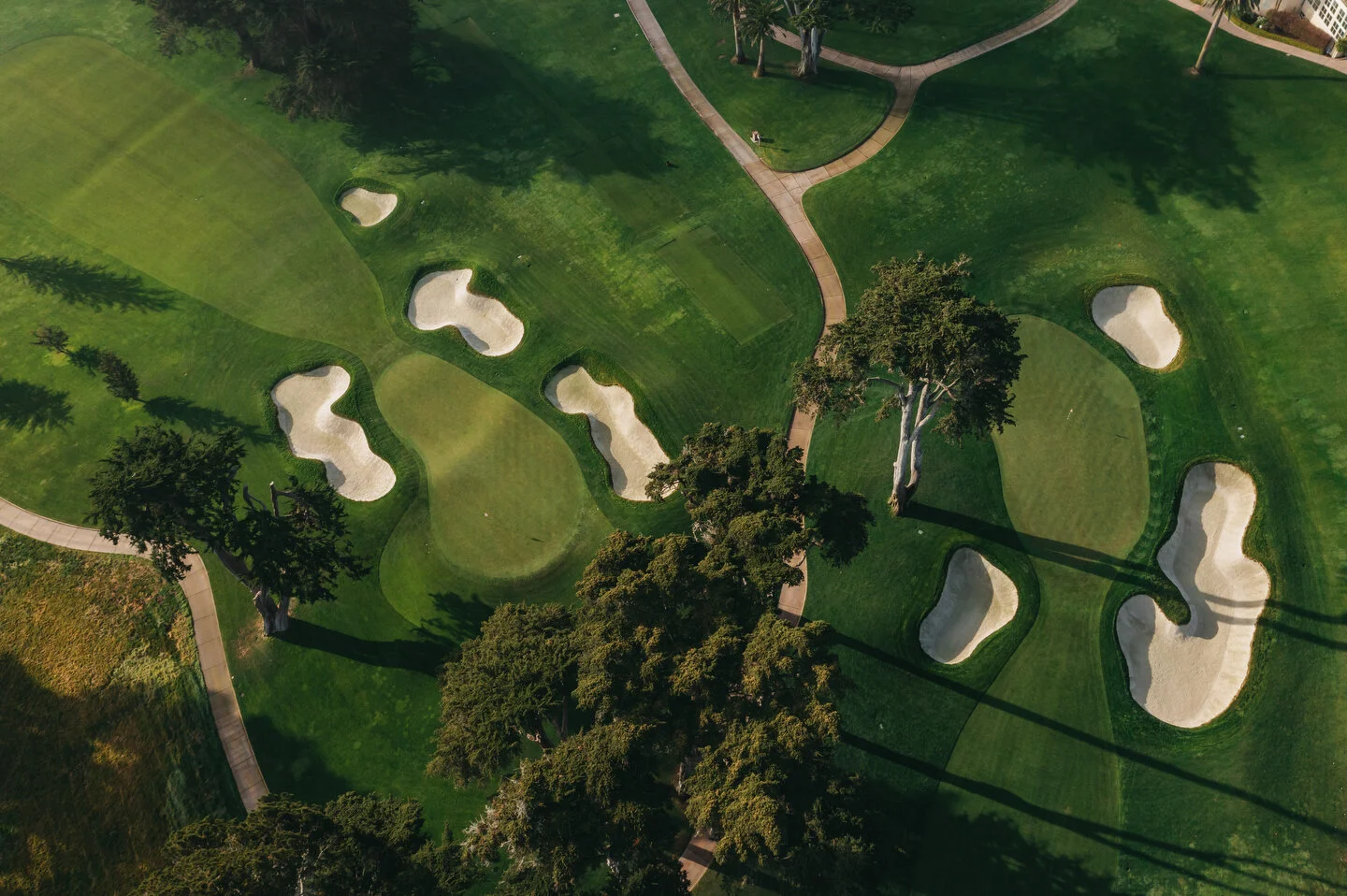 Olympic quick edit -11.JPG