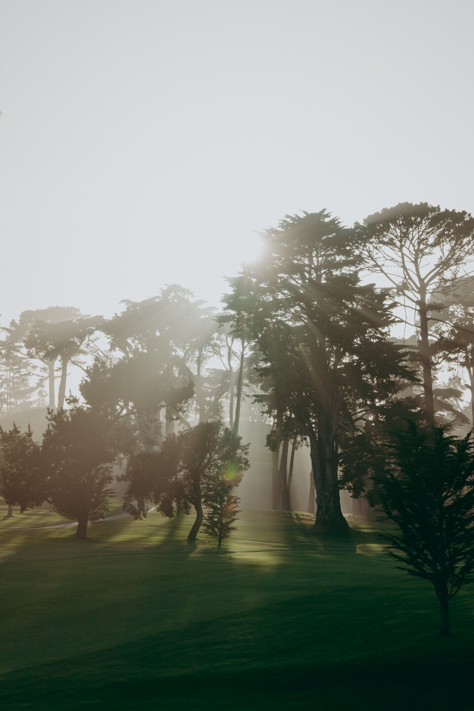 Olympic Quick Edit -79.JPG