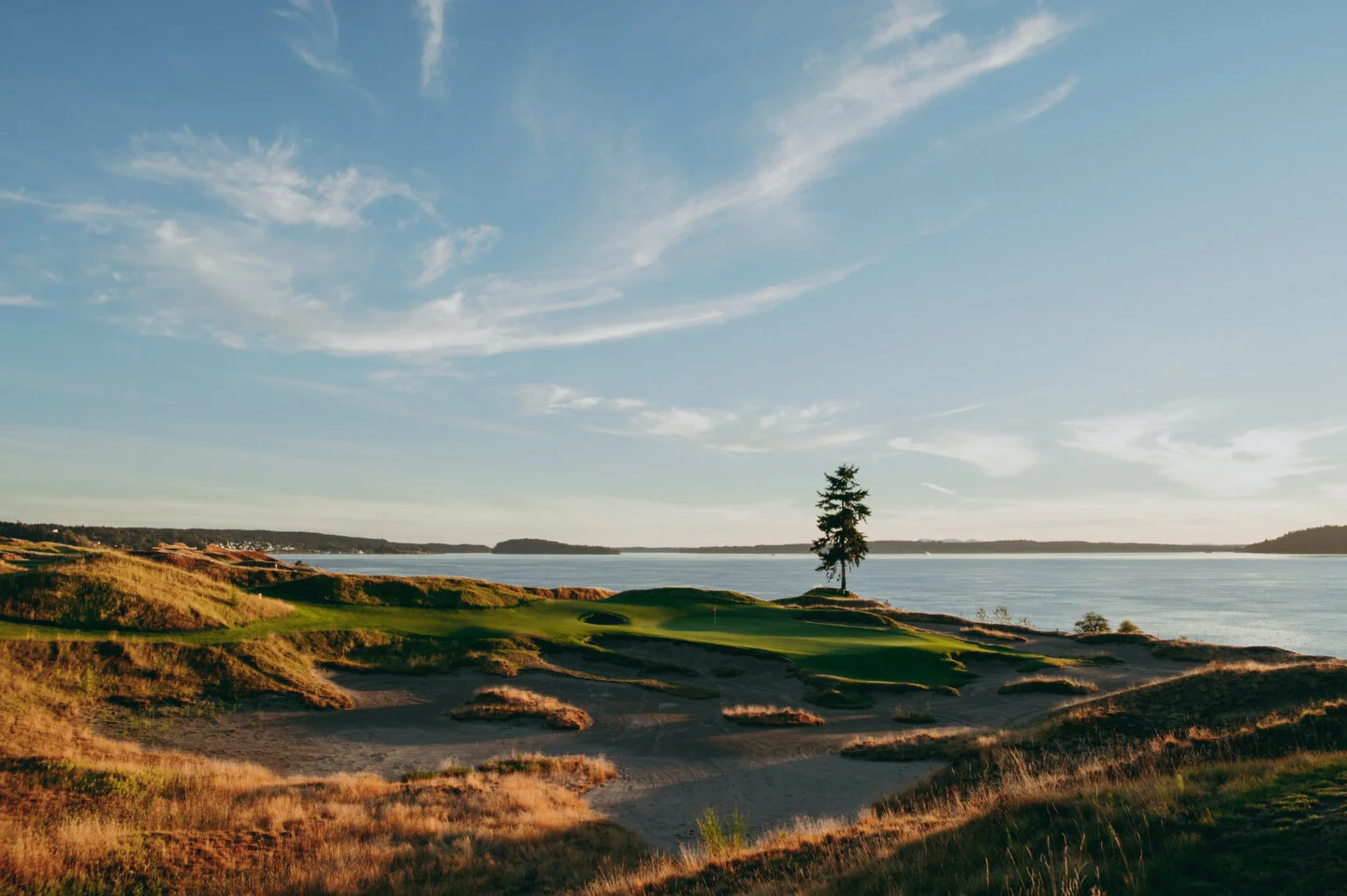 LIFER PRESET PACKS - Entire Collection