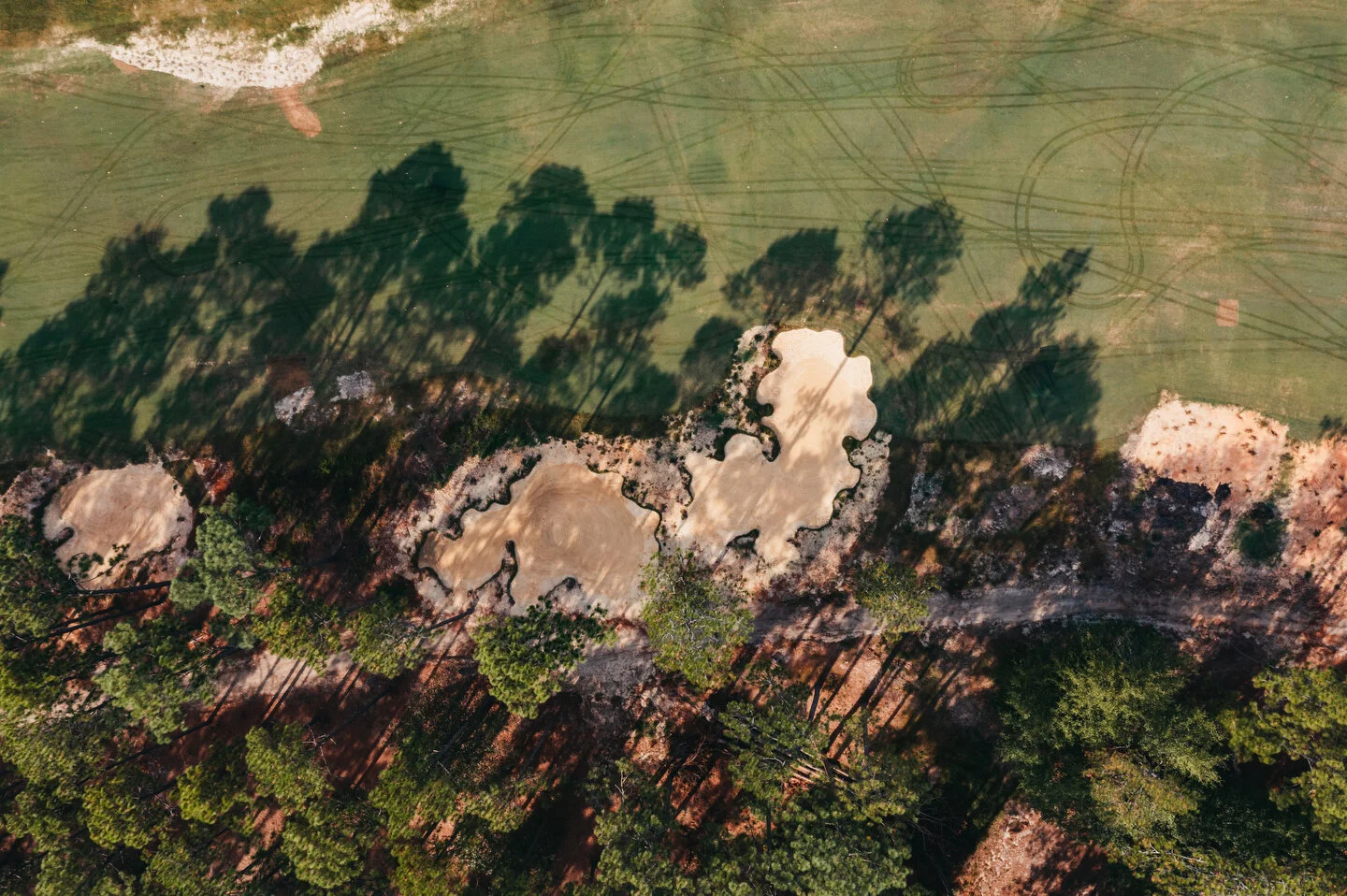 SOUTHERN PINE - AERIAL EDITS -24.JPG