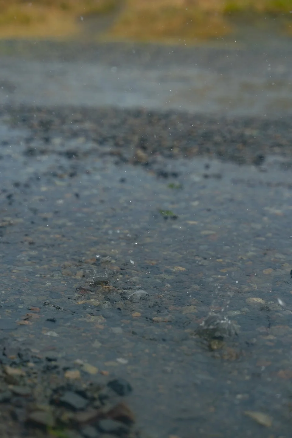 GOLFERS JOURNAL CHAMBERS - Marsh - 442.JPG