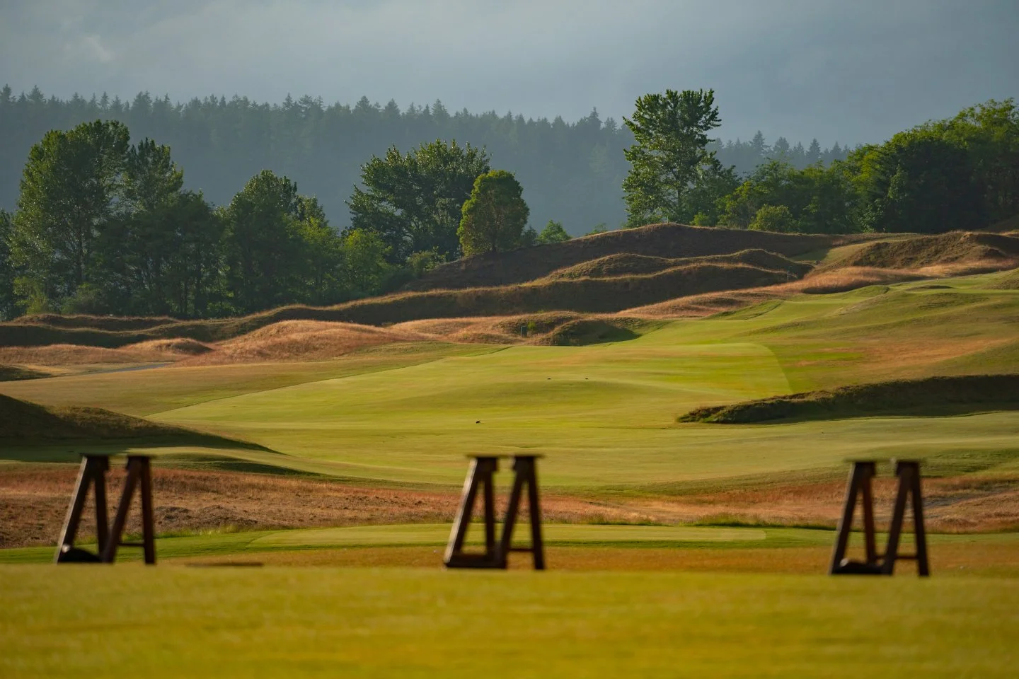 GOLFERS JOURNAL CHAMBERS - Marsh - 549.JPG