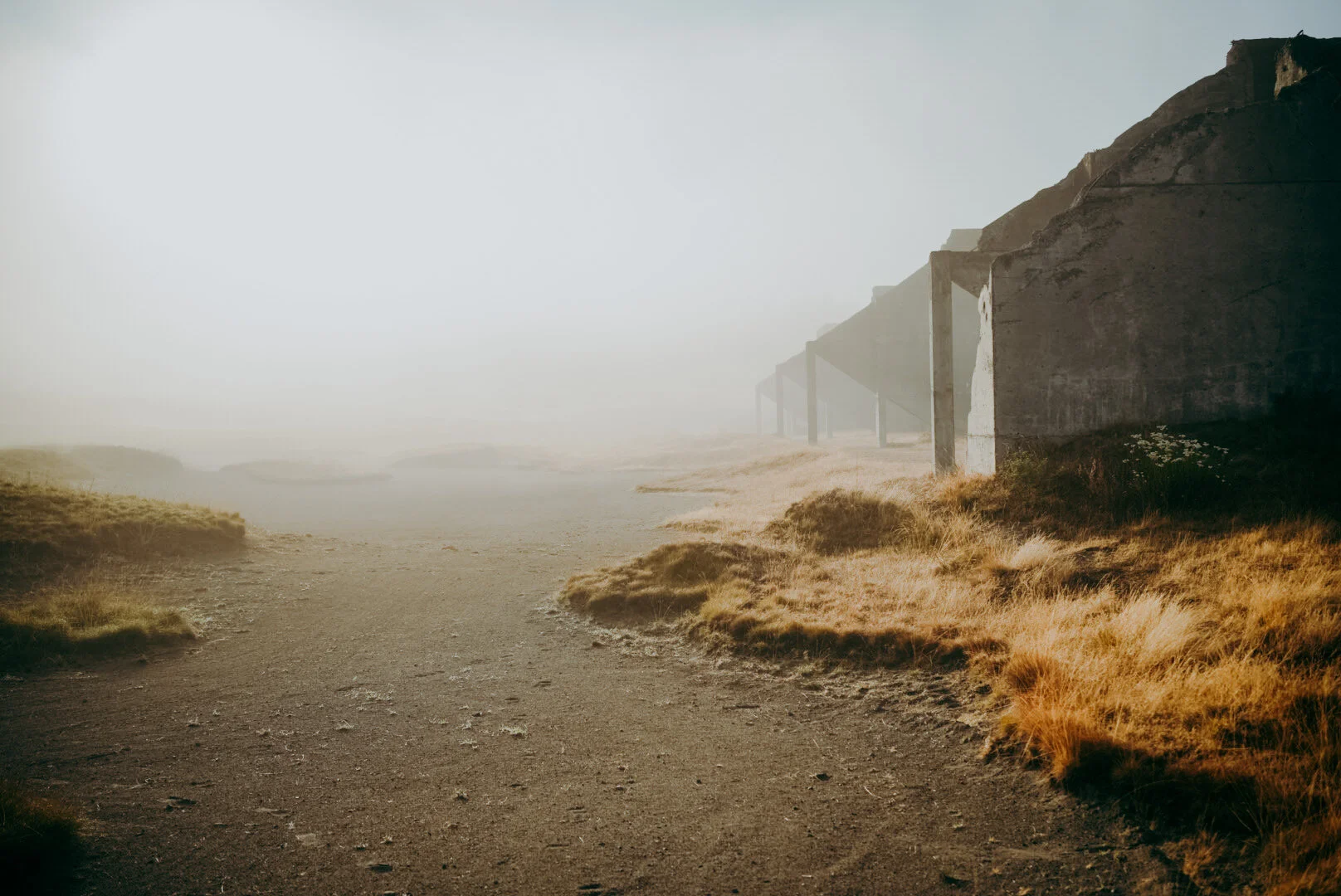 7F22D22E-0484-4EE5-B368-C271CE3C003F