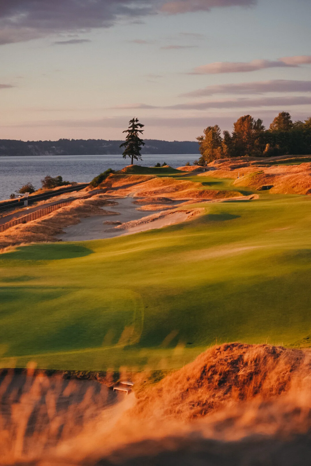 D7493E35-D48F-4F53-B362-6C2F6E92B3AB