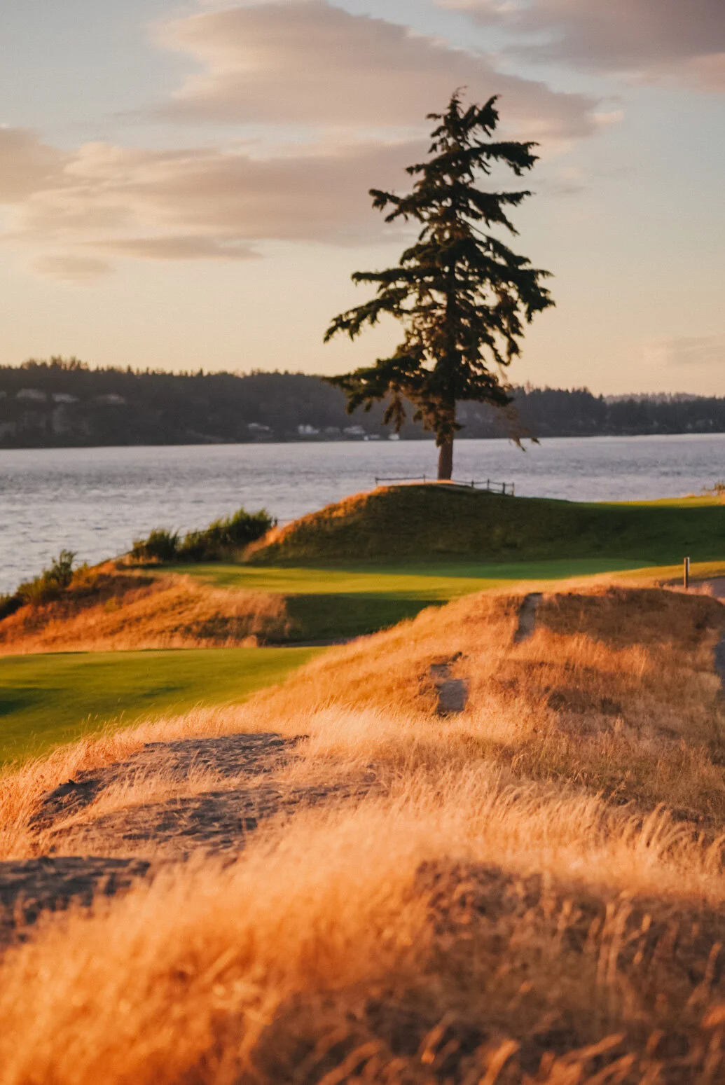 E7741F69-B238-41D0-A4B2-5E33753C5B2E