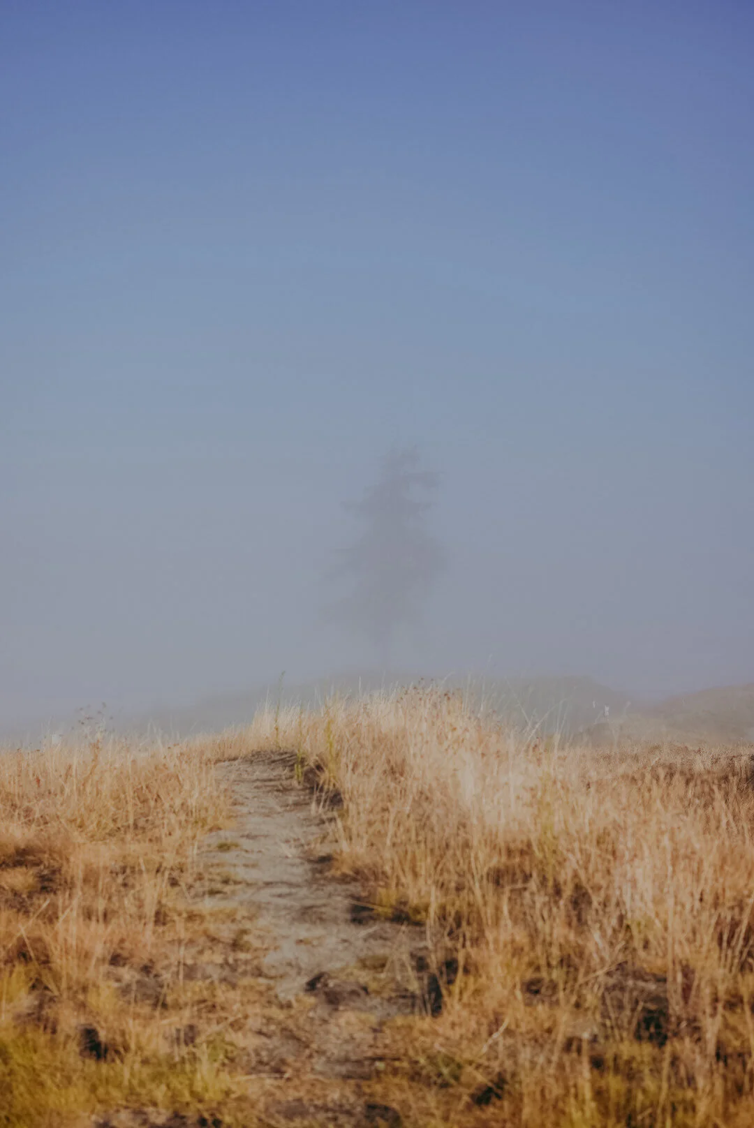 E3DCB72A-FBC1-4064-87D8-A8FCF5614164