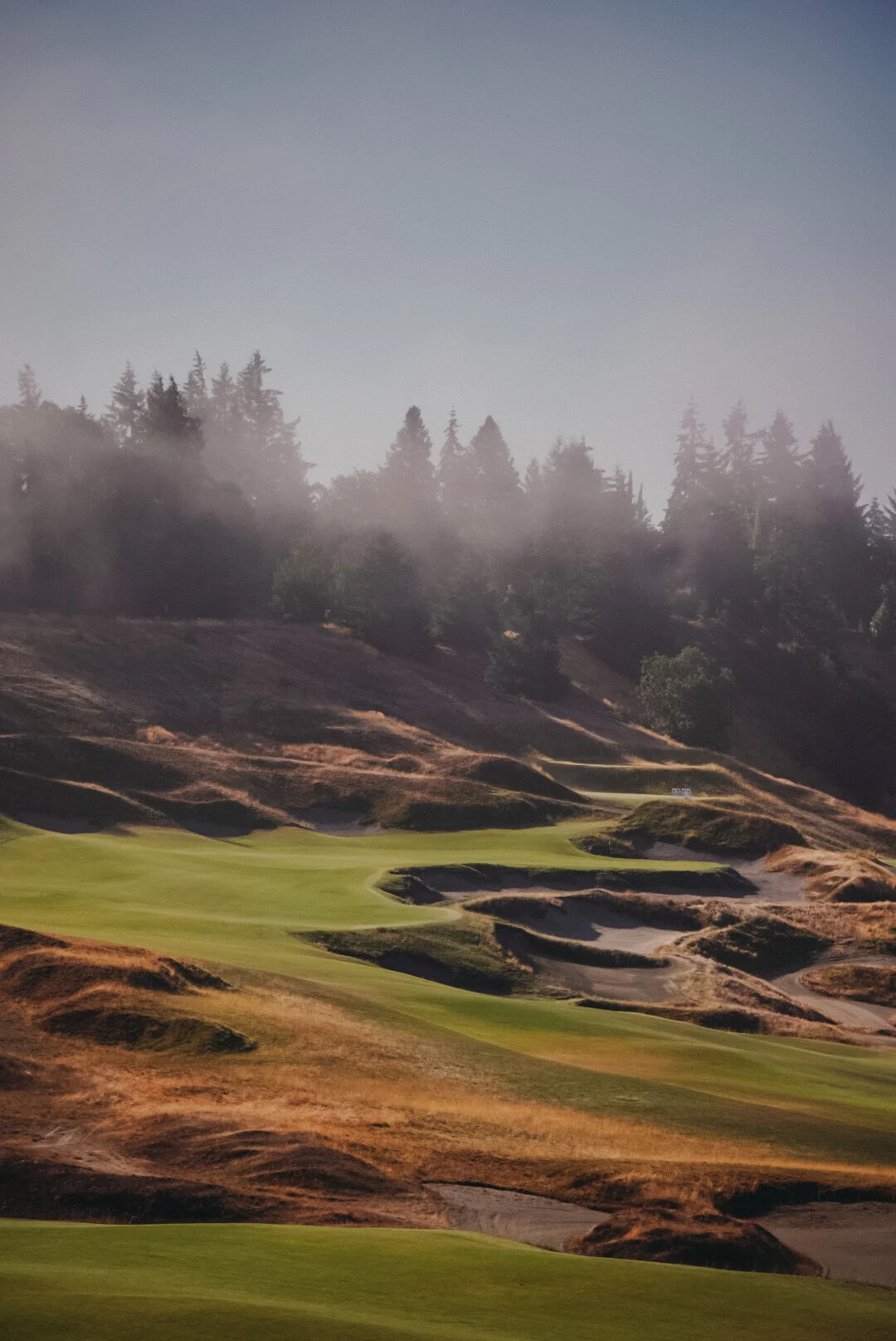 AB9262AB-9232-4A01-99C5-FF8DFE90218C