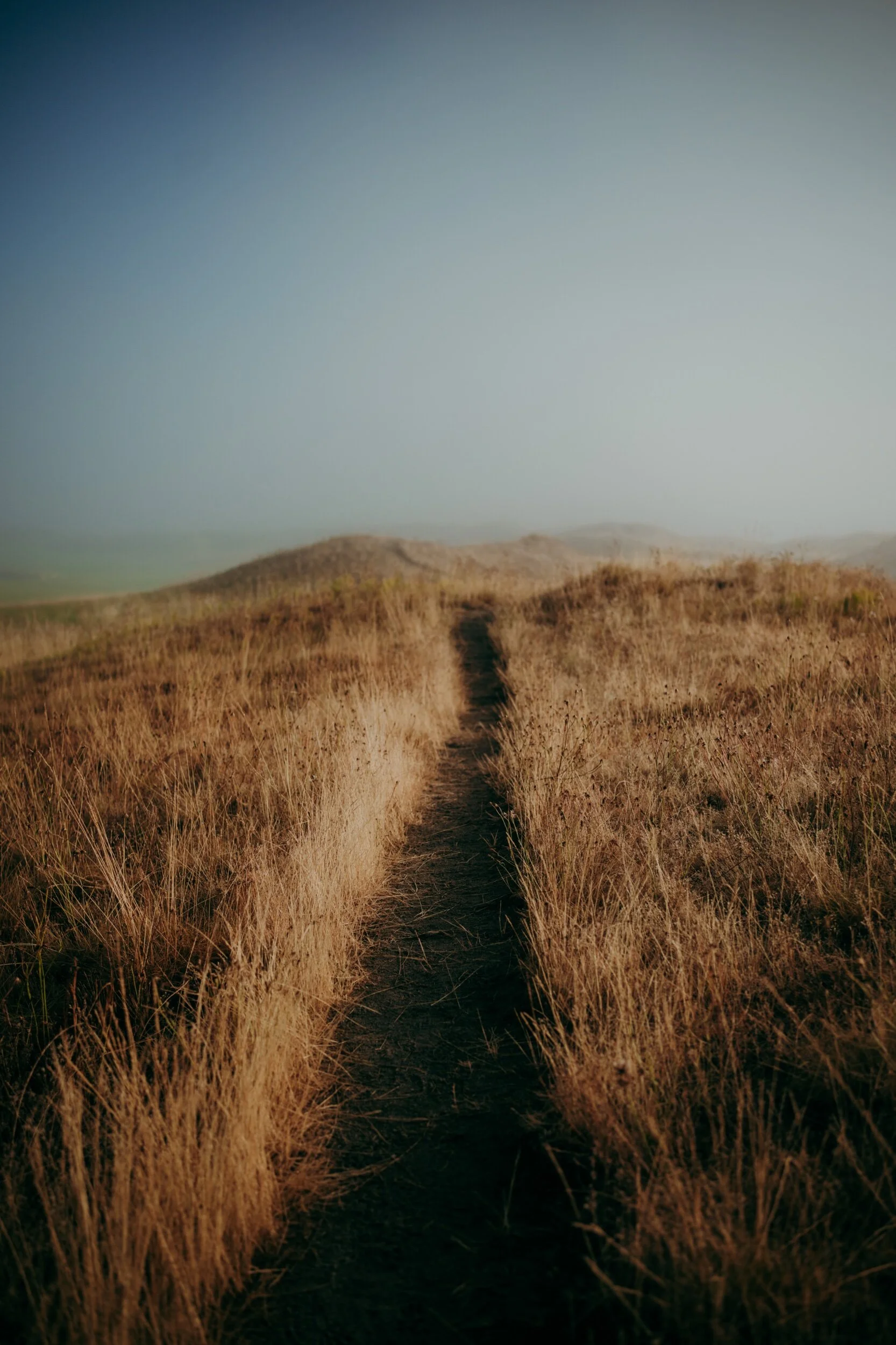 11046338-4ABA-4150-8D94-70521659D209