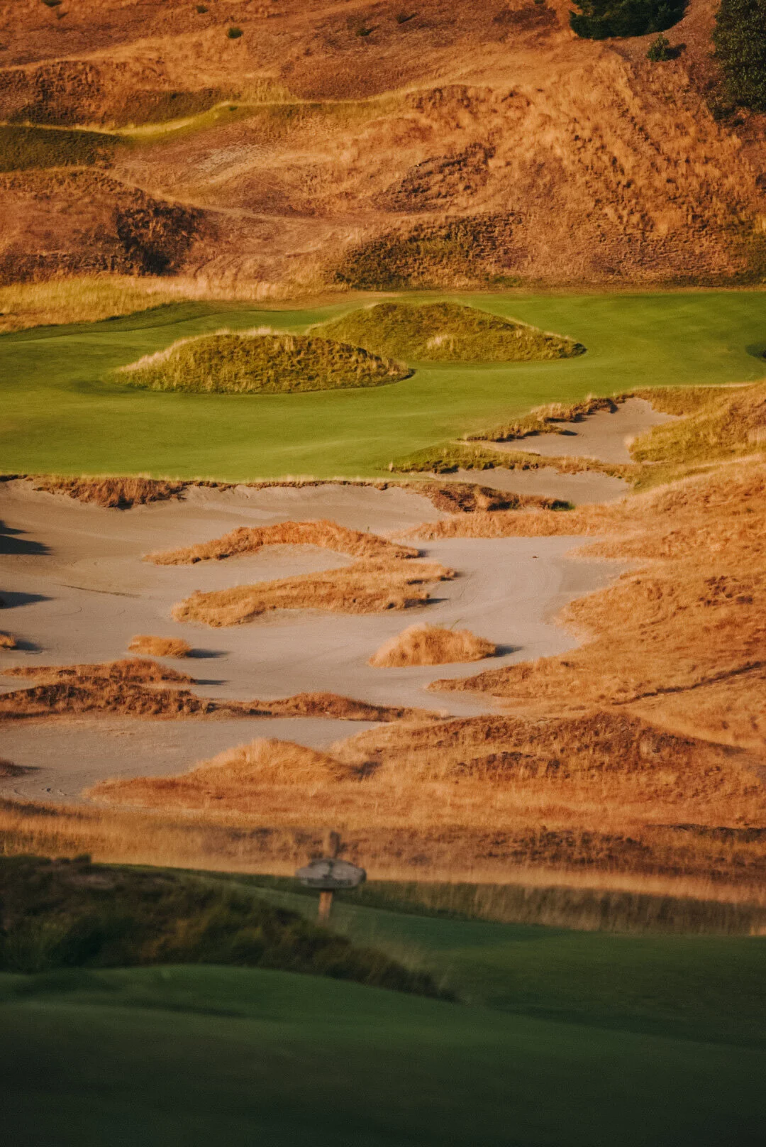 8CC2858D-B3B9-4D26-9081-86F63921D0D6