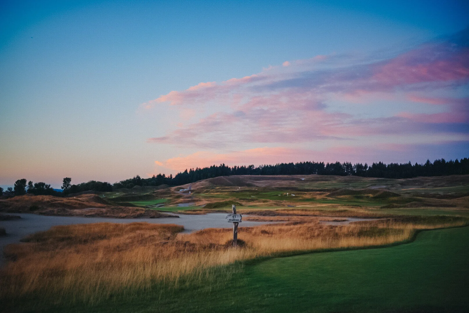 99AB154B-C5CD-4B10-96BA-D425F3FDB833