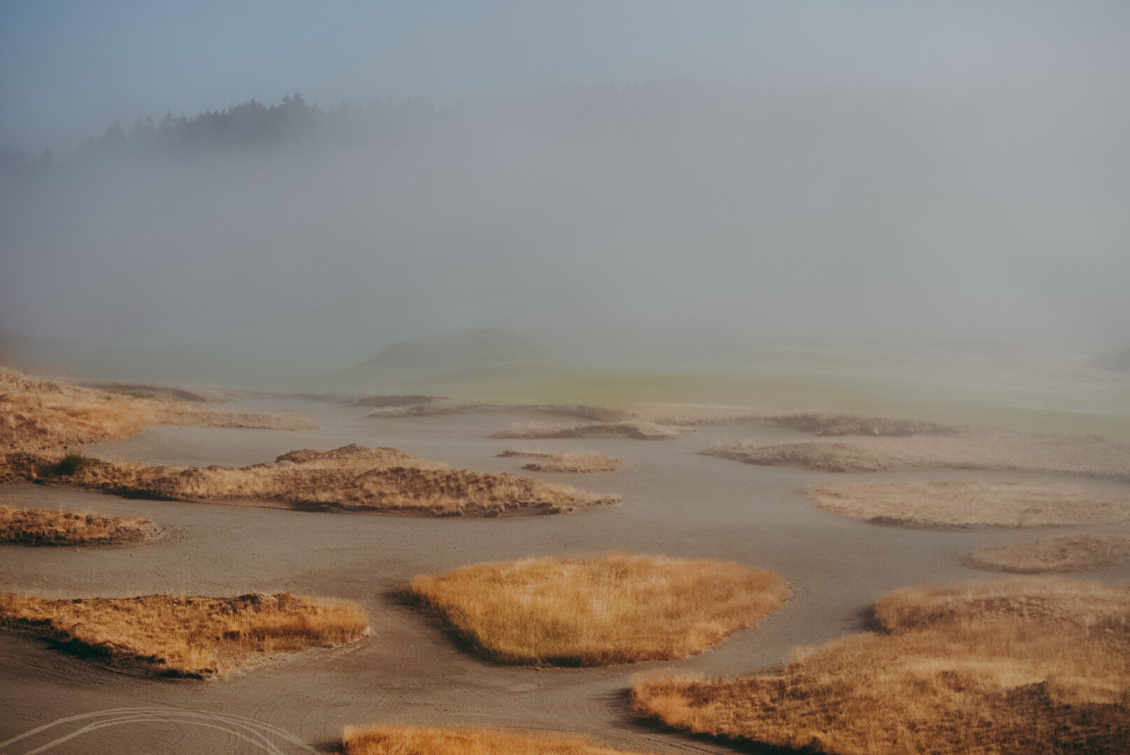 EE89B76B-8B31-434D-9551-F1014447DE6B