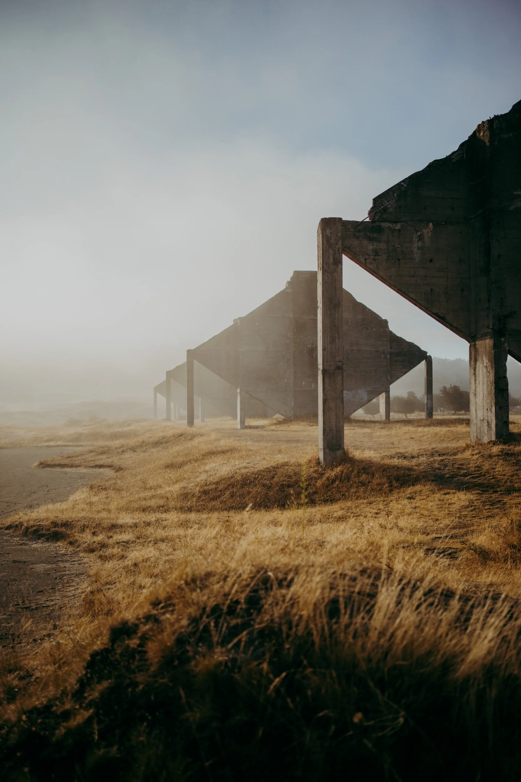 83DEBFB9-F135-4066-8980-69F6BE87ED96