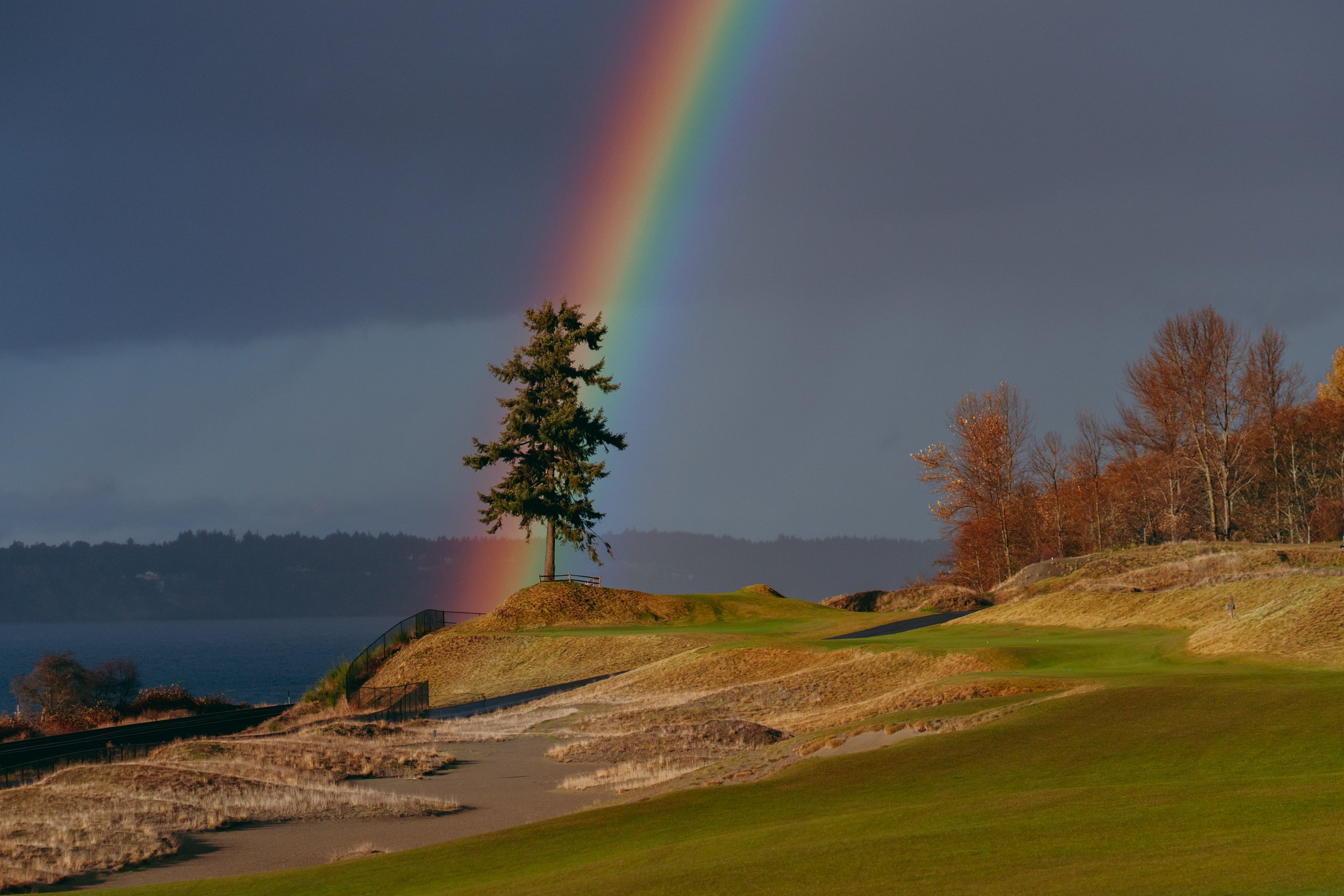 CHAMBERS - RAINBOW EVE - Marsh 177.JPG