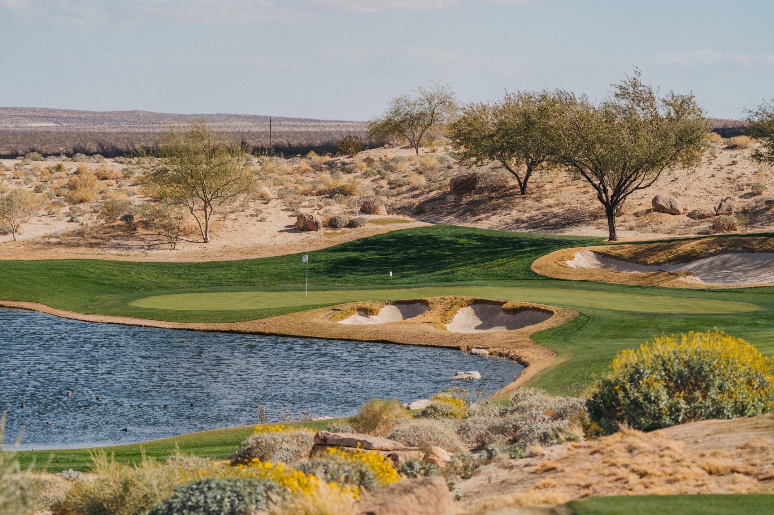 5221E7A2-9982-45FE-AA5A-F20712AFF573