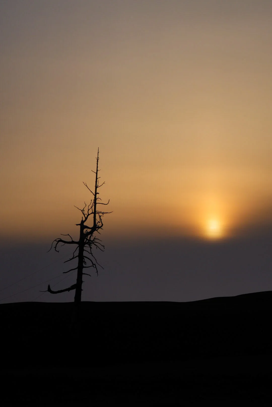 56CDDEE3-641E-4059-BFDA-AE9C7C9E3FFC