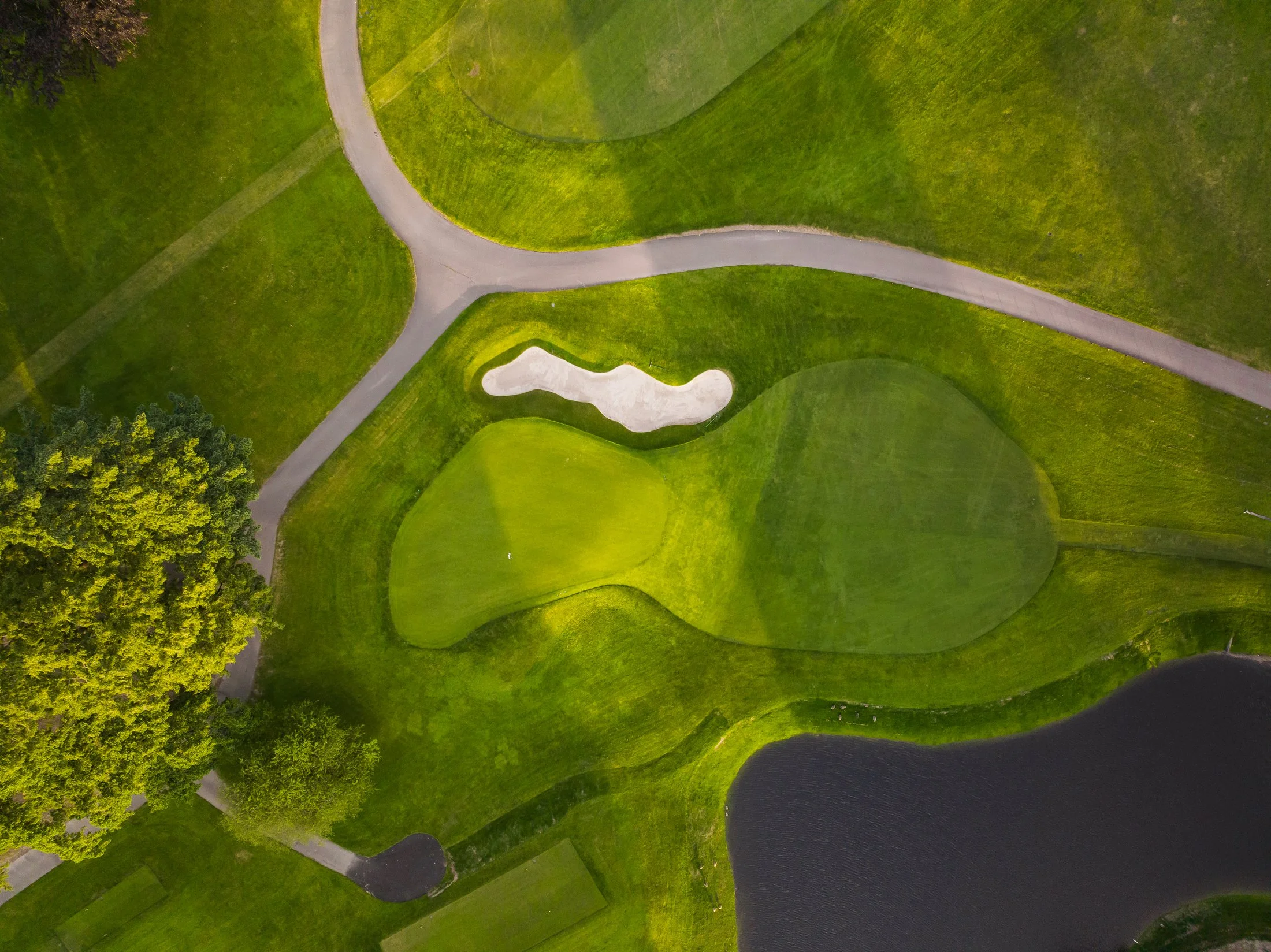 DJI_0290.JPG